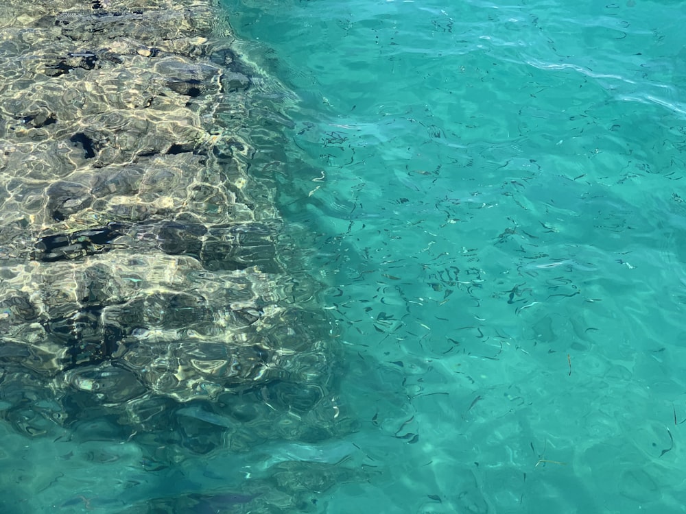 a body of water with rocks and a beach