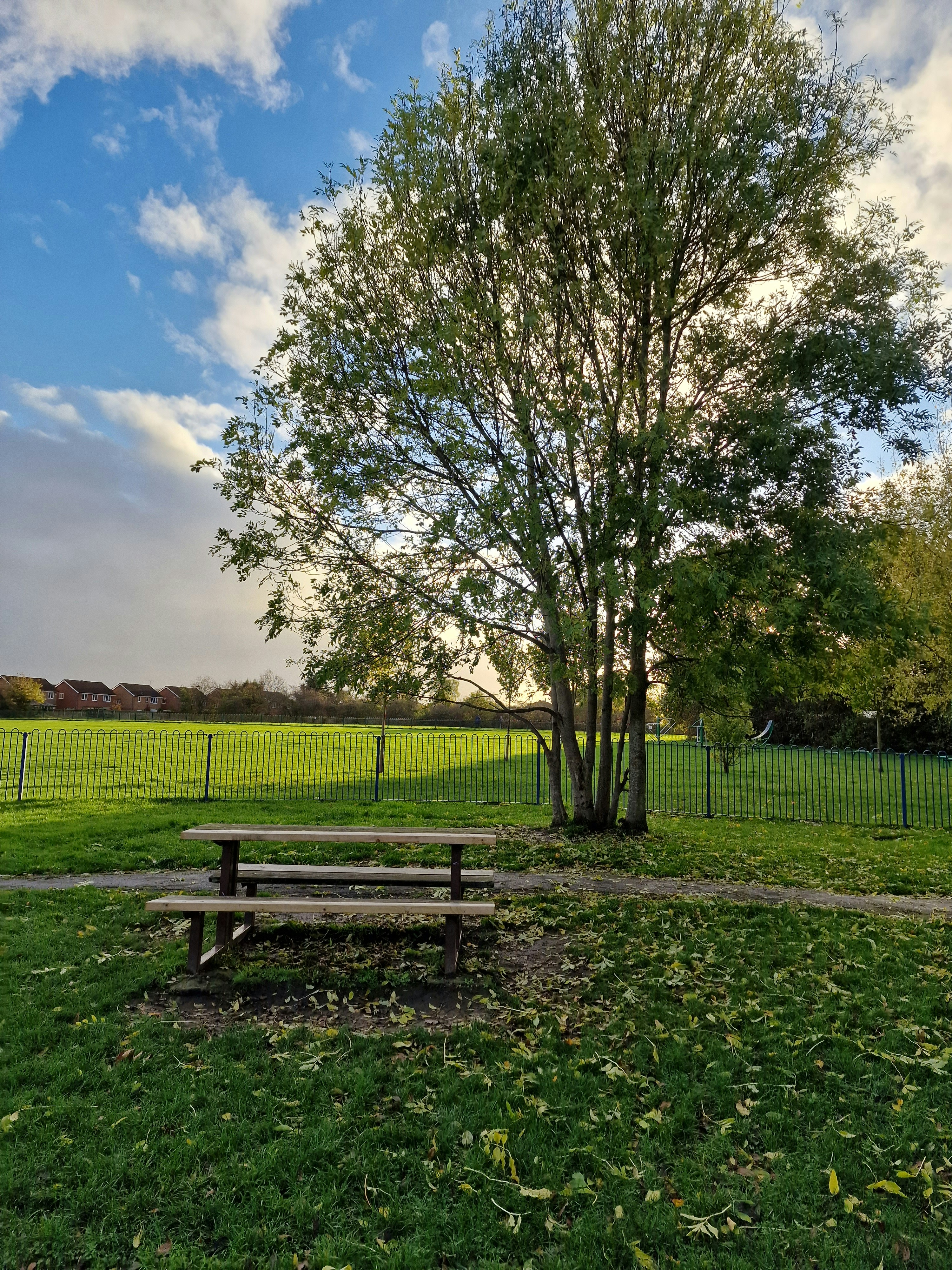 Photo by affanshah24