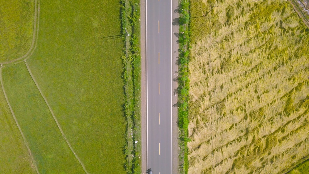 a road with grass and trees