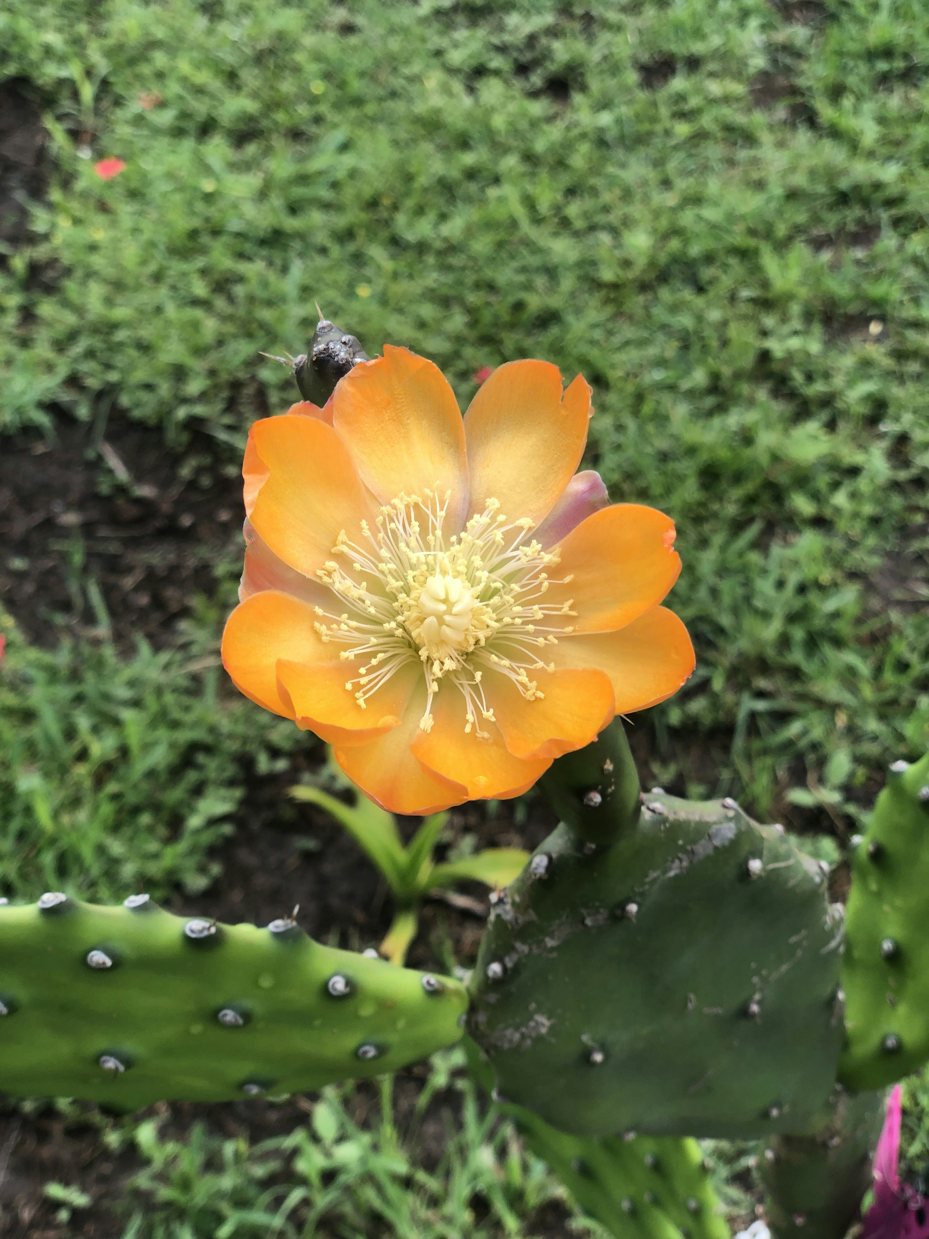 Photo by sunshinestudio82