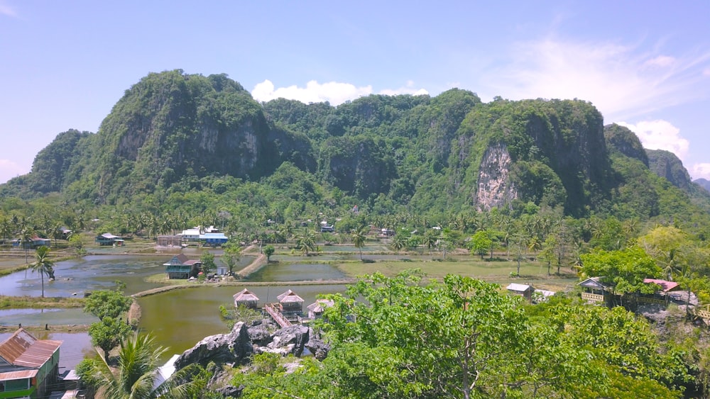 a landscape with trees and buildings