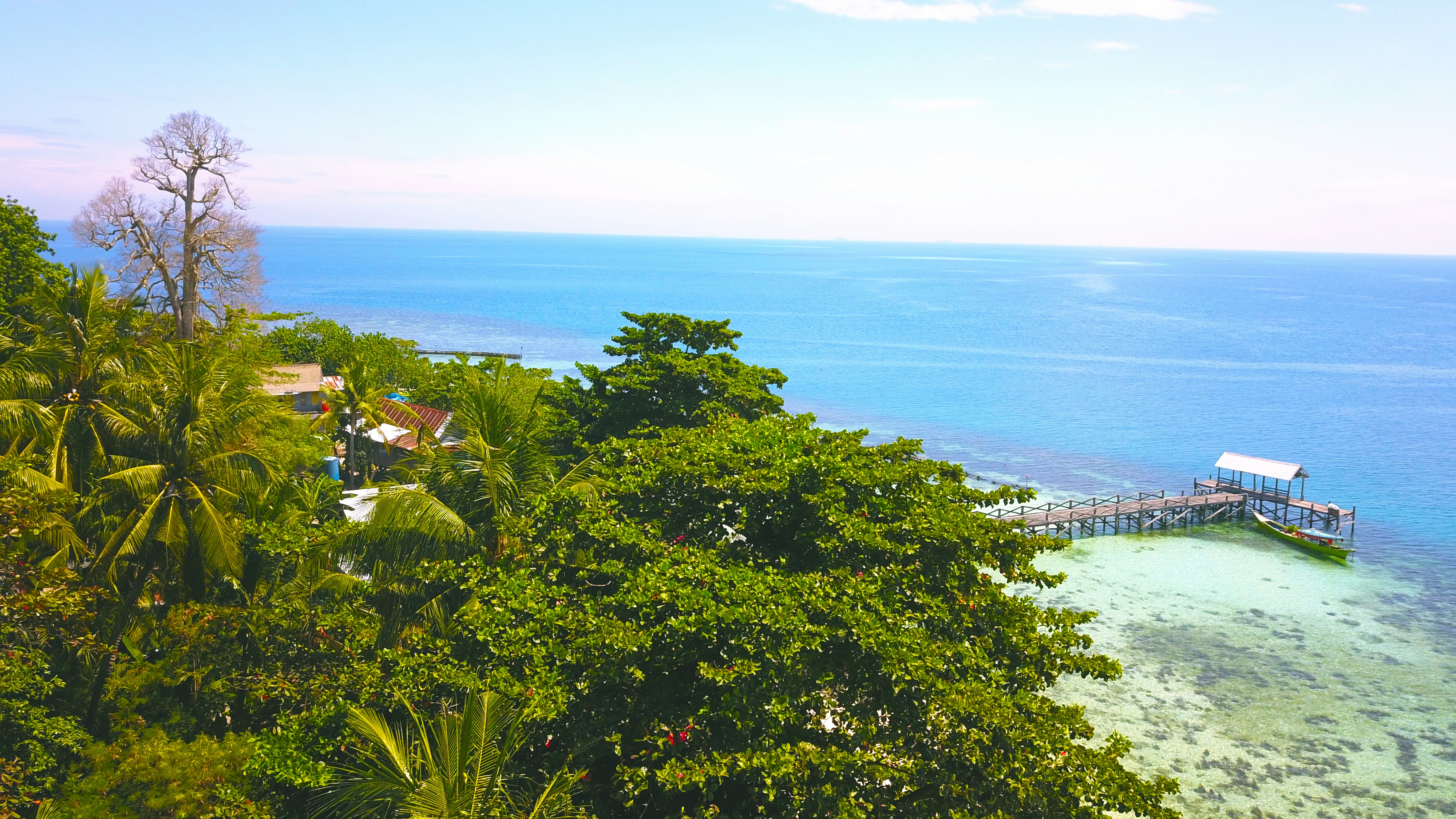 Photo by hasbidocumentary