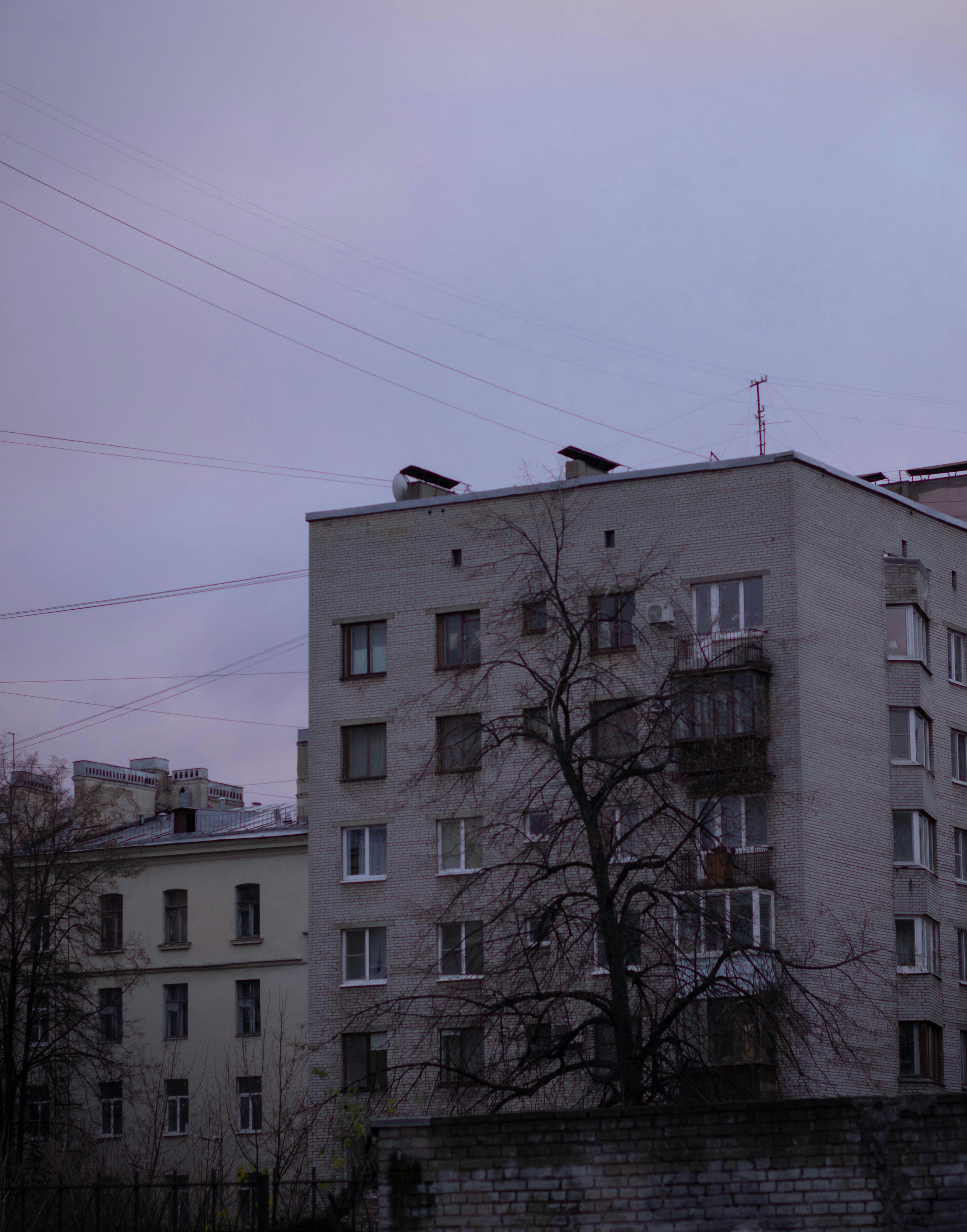 Photo by youssefashraf230