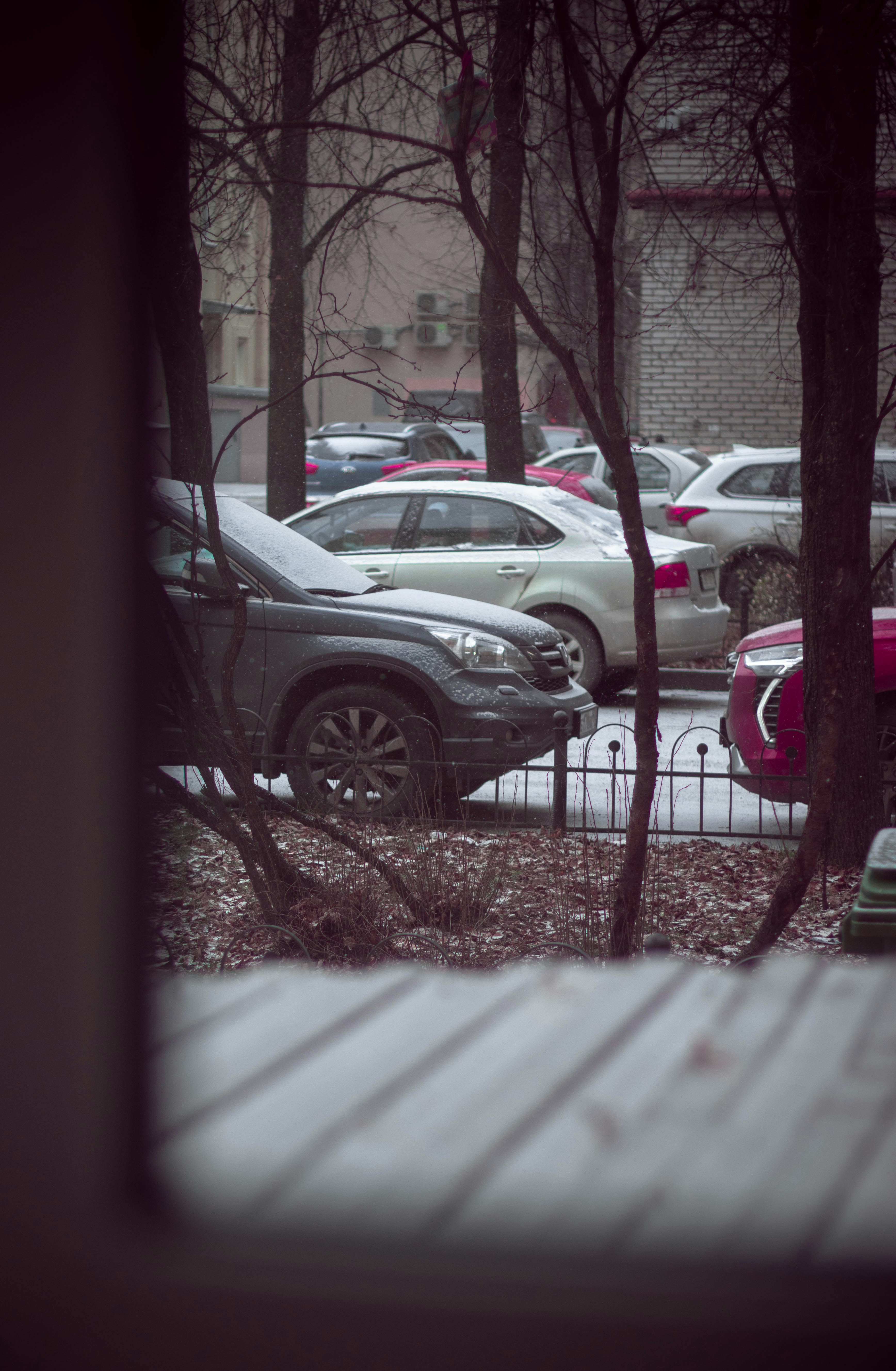 Photo by youssefashraf230