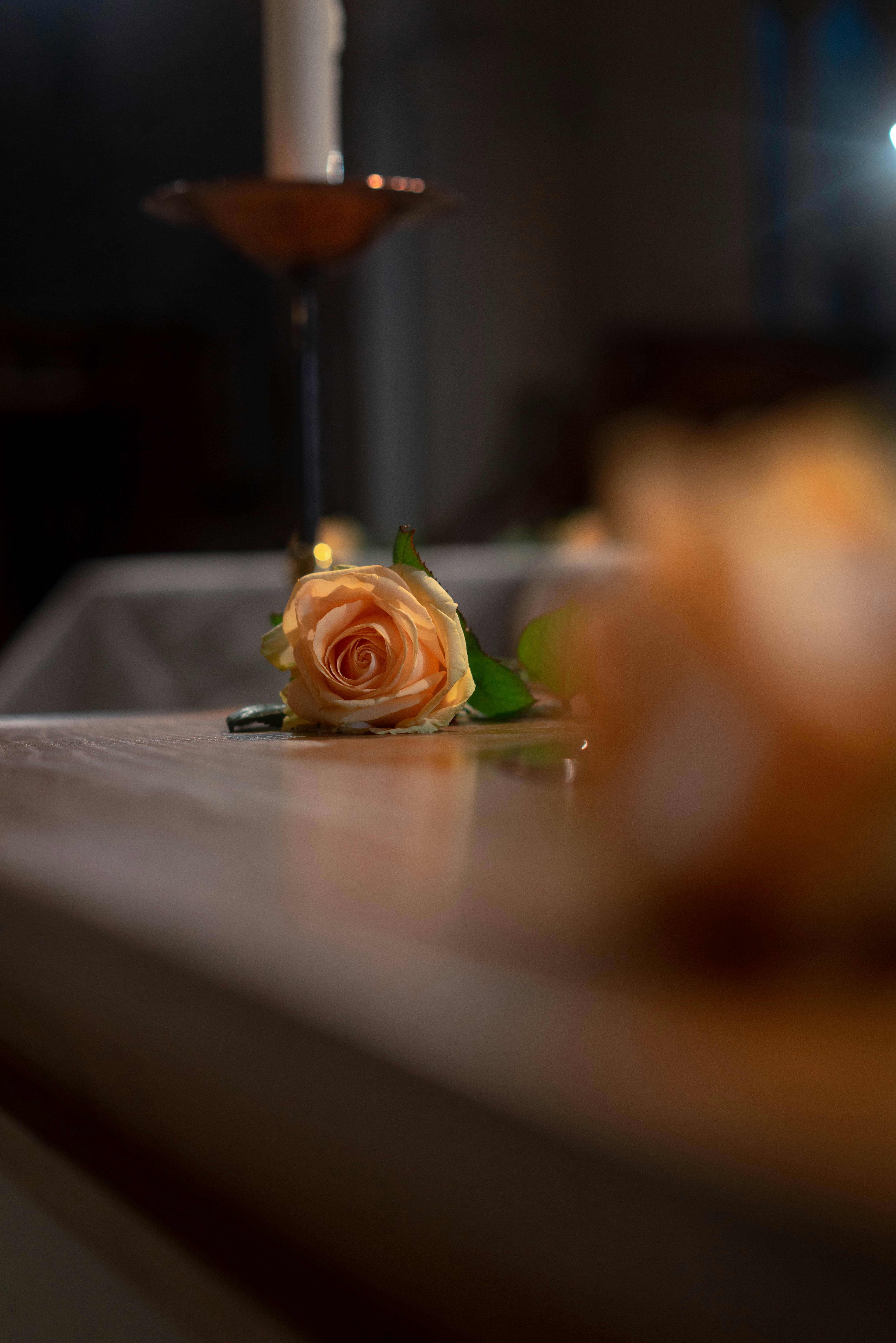 Eine Rose auf einem Tisch