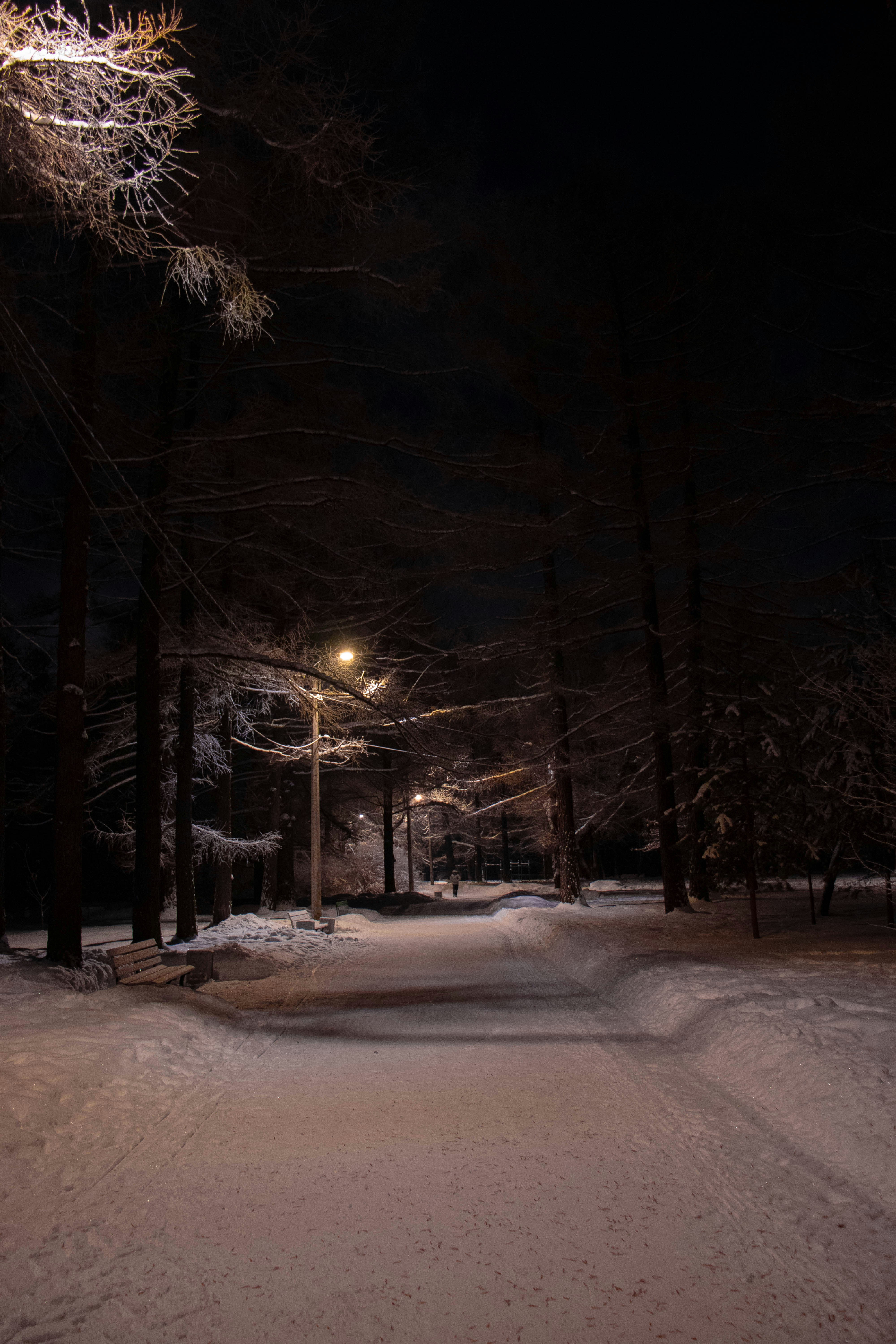 Photo by youssefashraf230