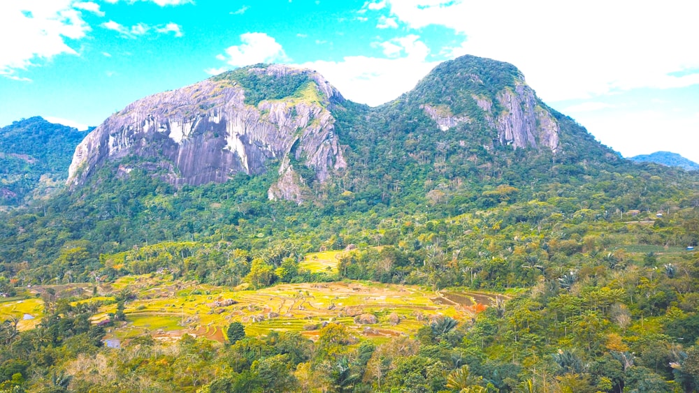 a landscape with mountains and trees