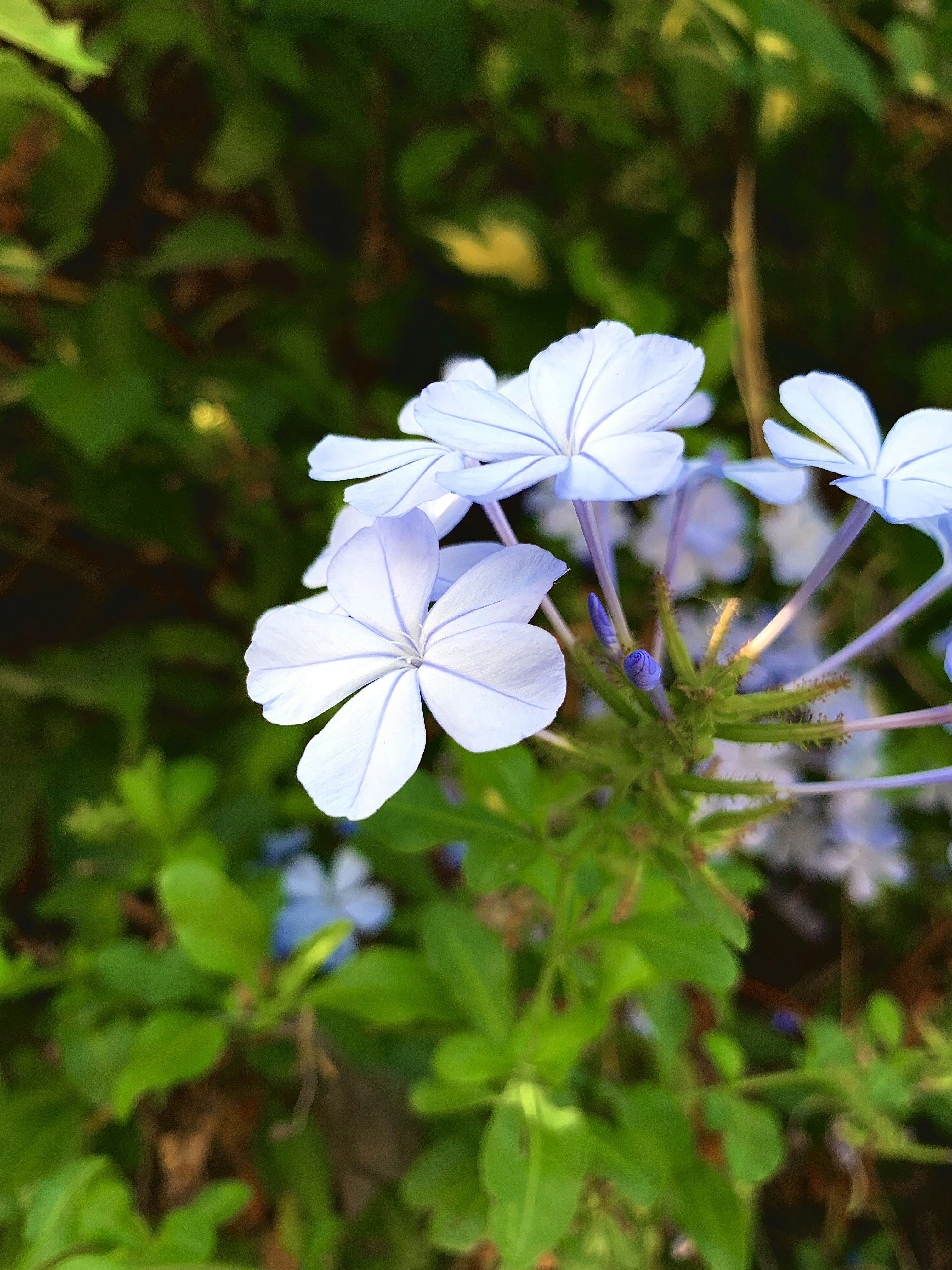 Photo by david_dintsh