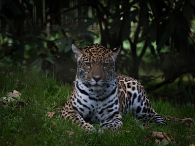 National Zoo
