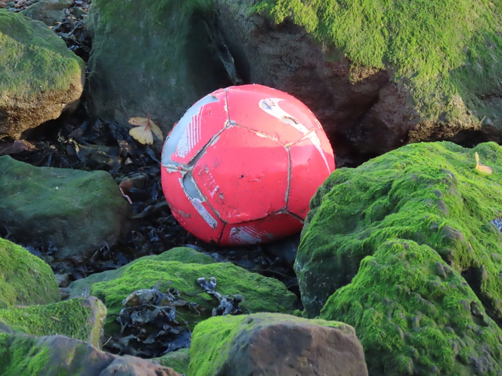 a red ball on rocks