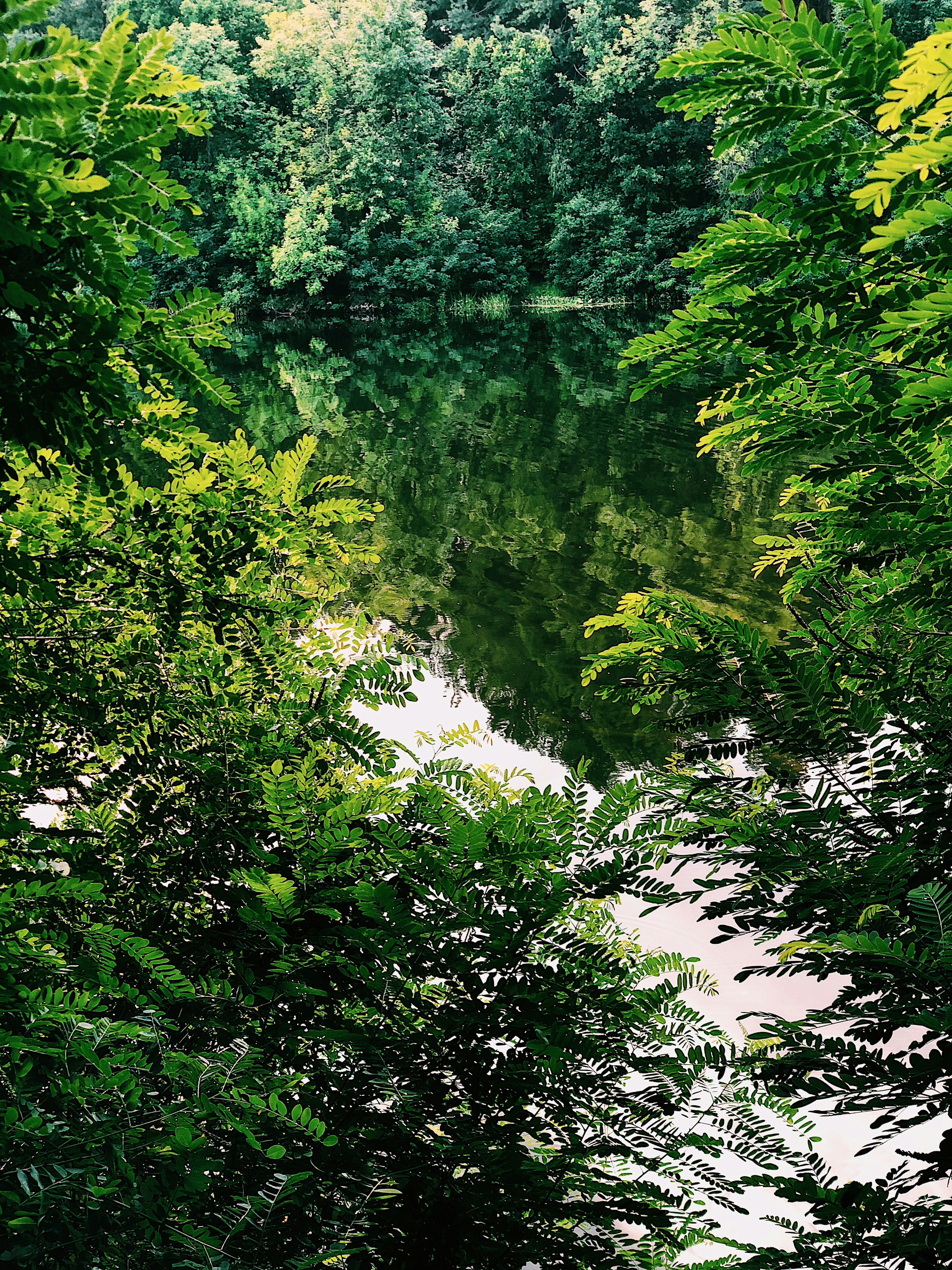 Photo by dmitiymorgun