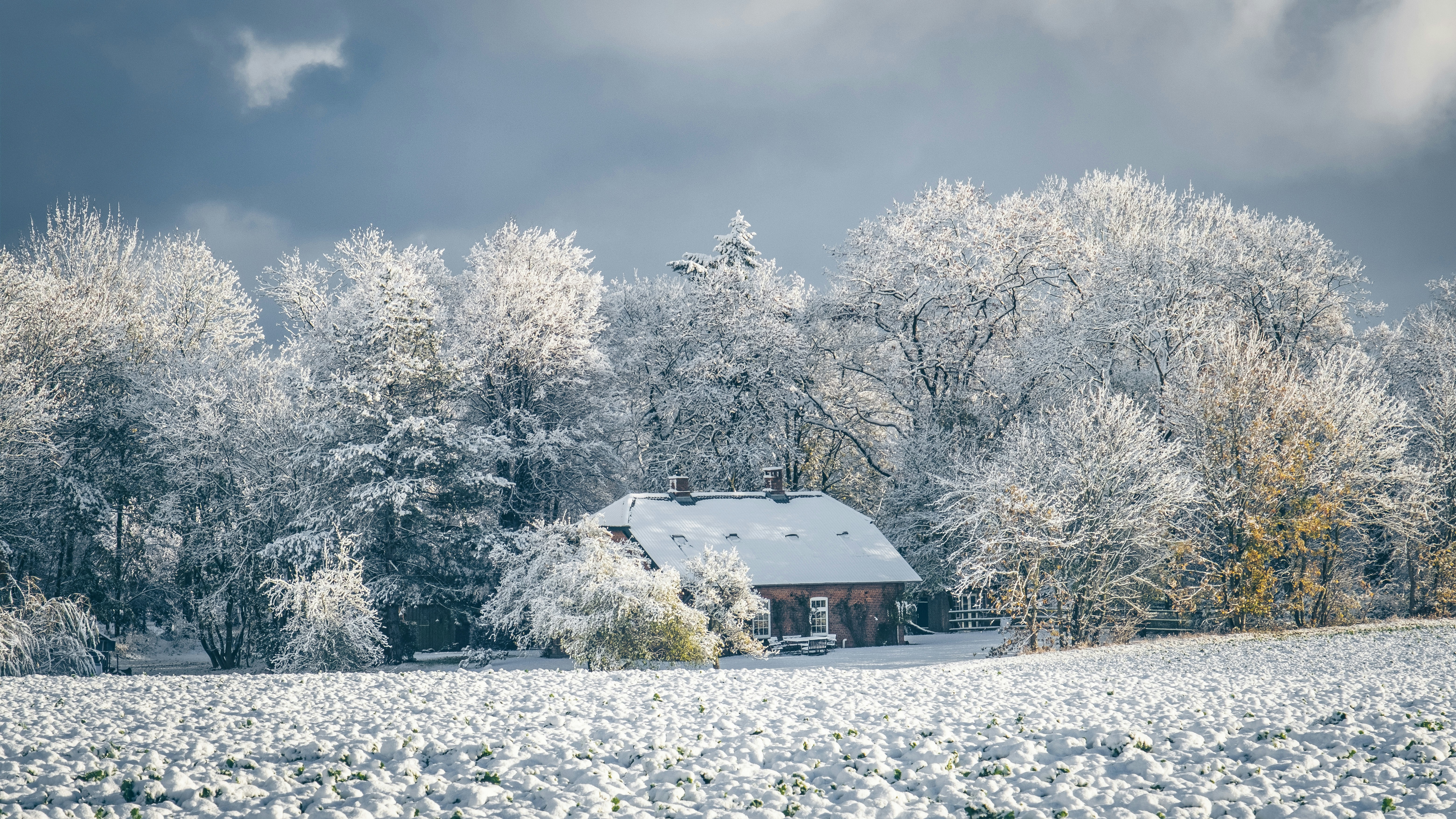 Photo by michaelheld