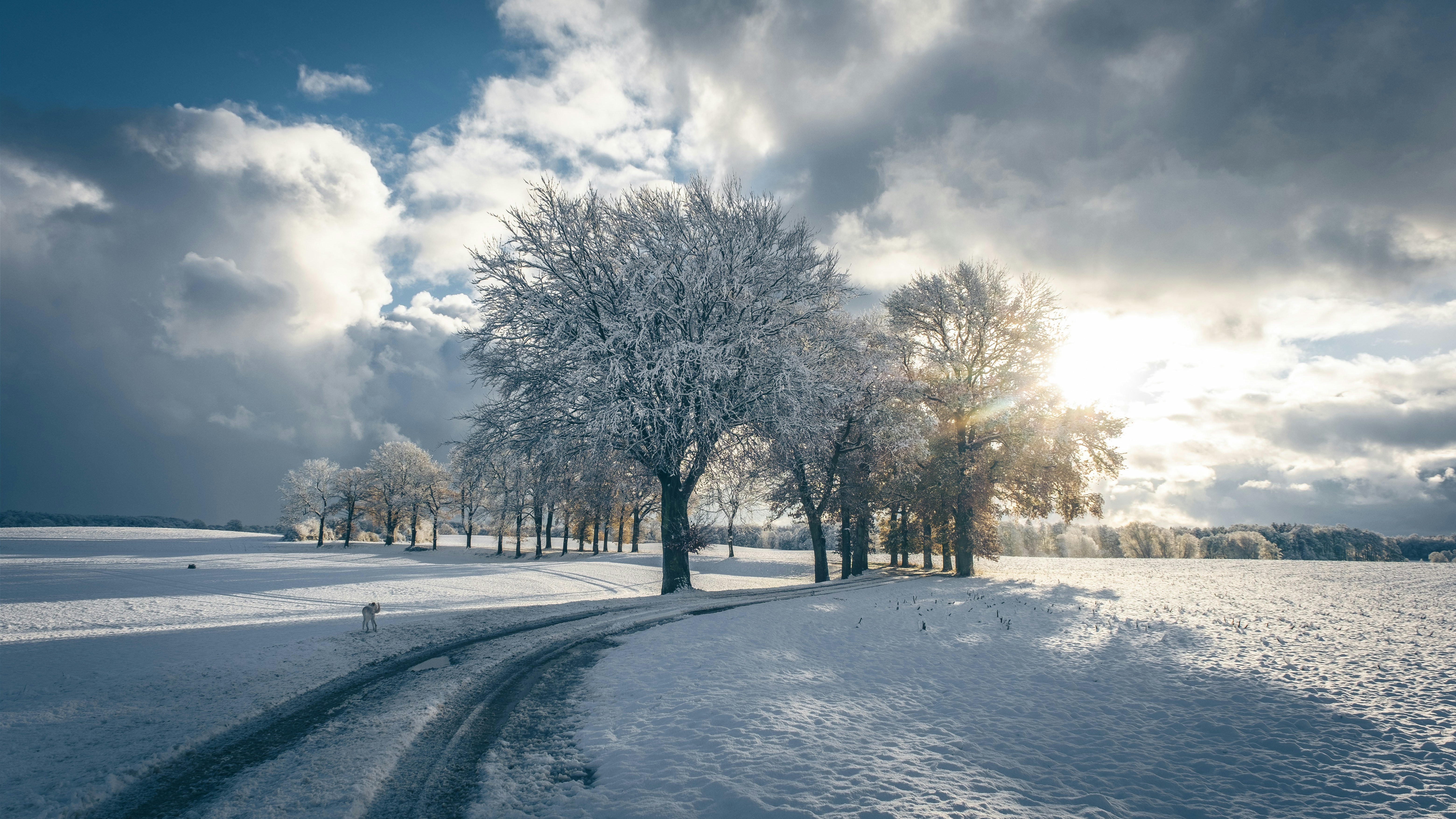 Photo by michaelheld