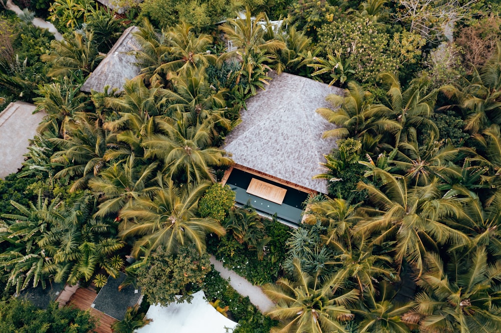 a house surrounded by trees