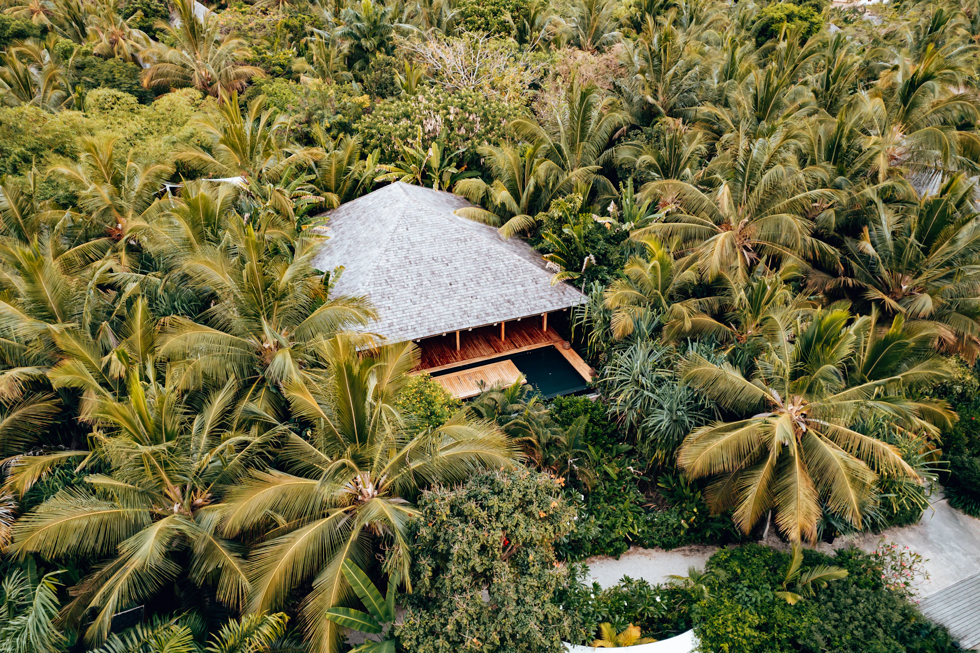 a building surrounded by trees