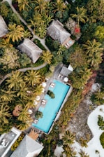 a house surrounded by trees
