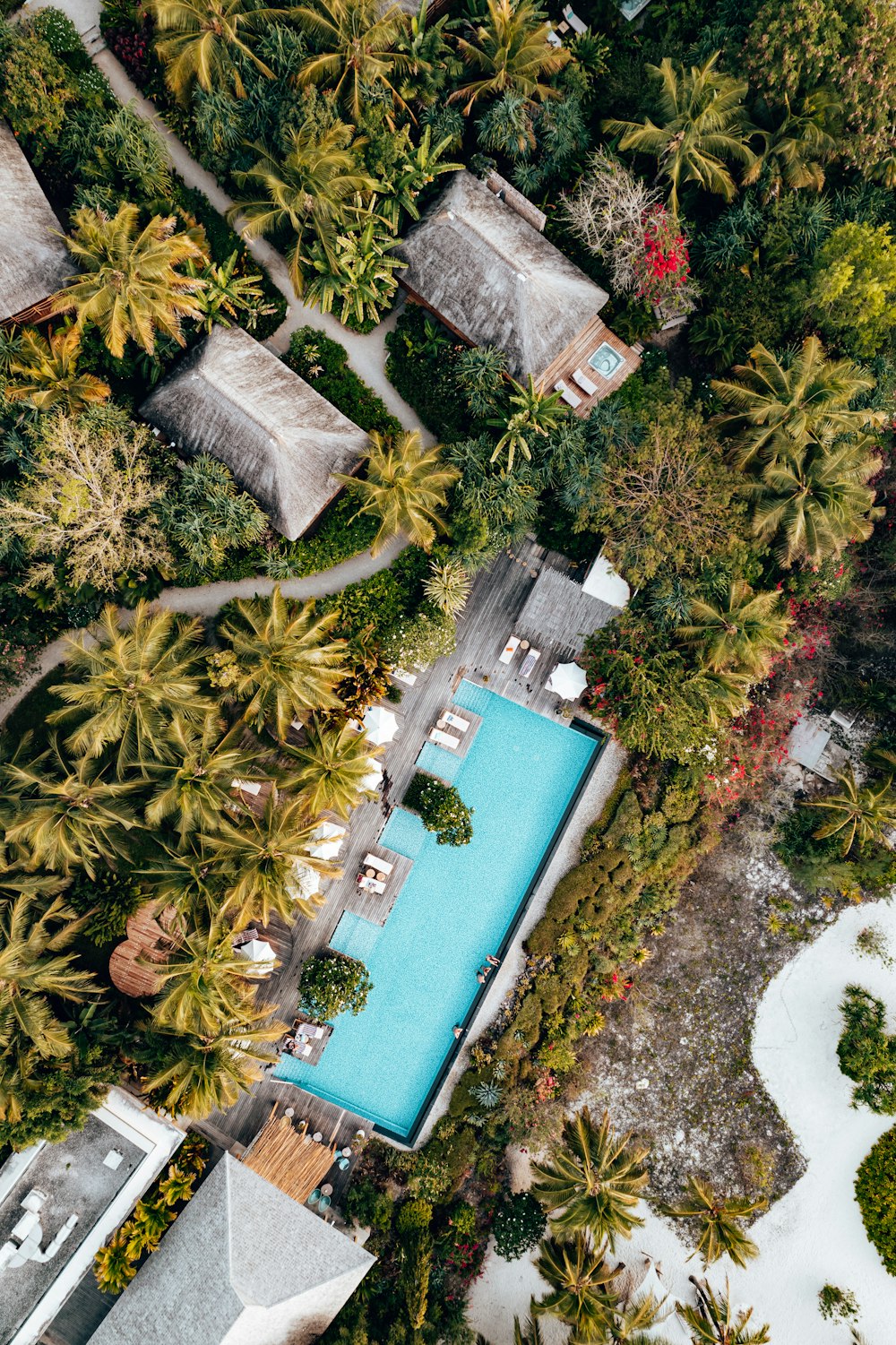 a house surrounded by trees