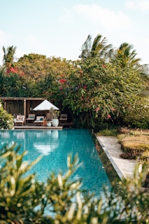 An inviting hotel pool area surrounded by lush greenery.