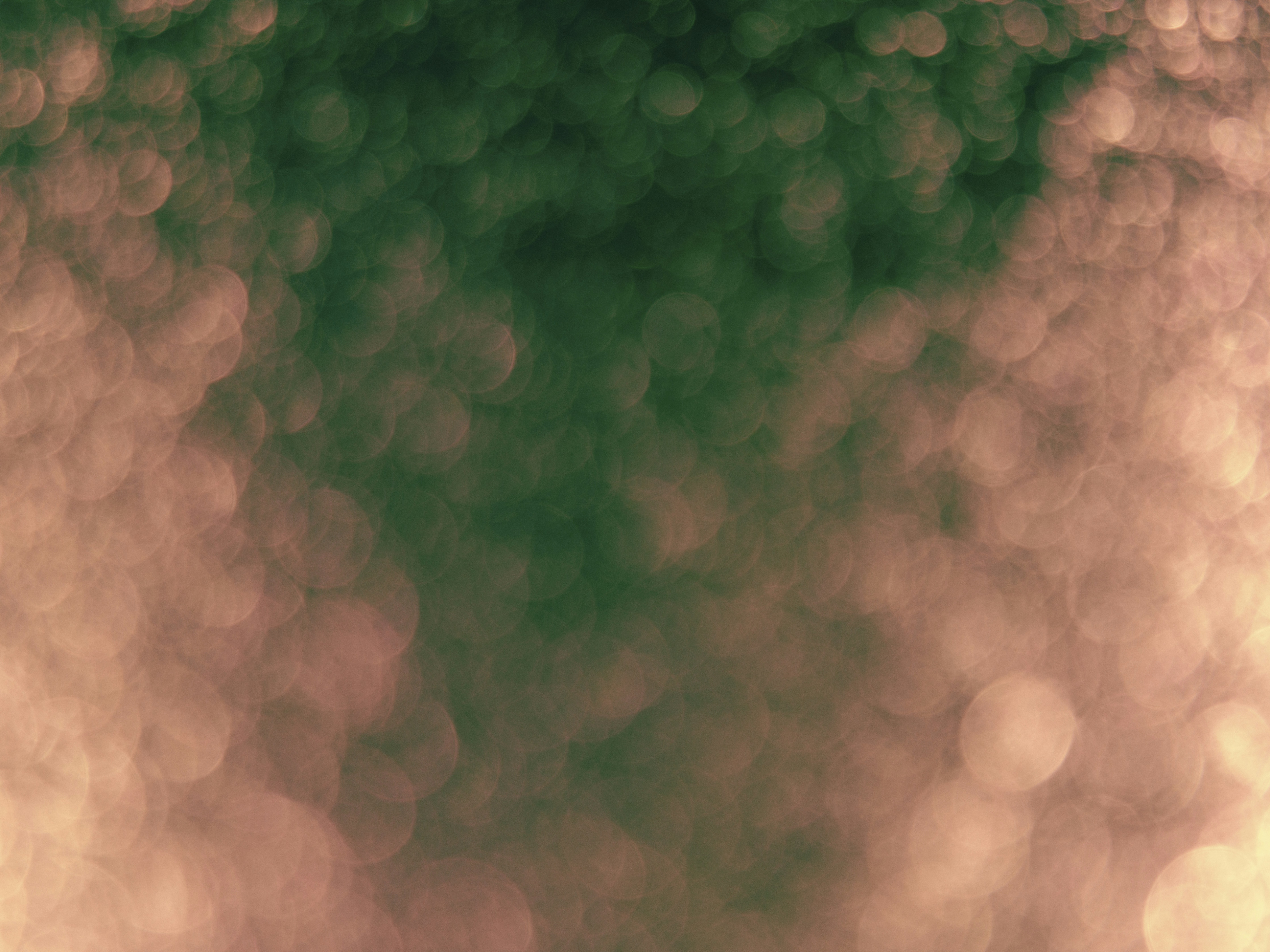 Photo by enginakyurt