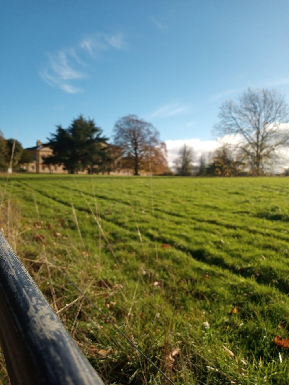 a grassy field with trees and buildings in the background