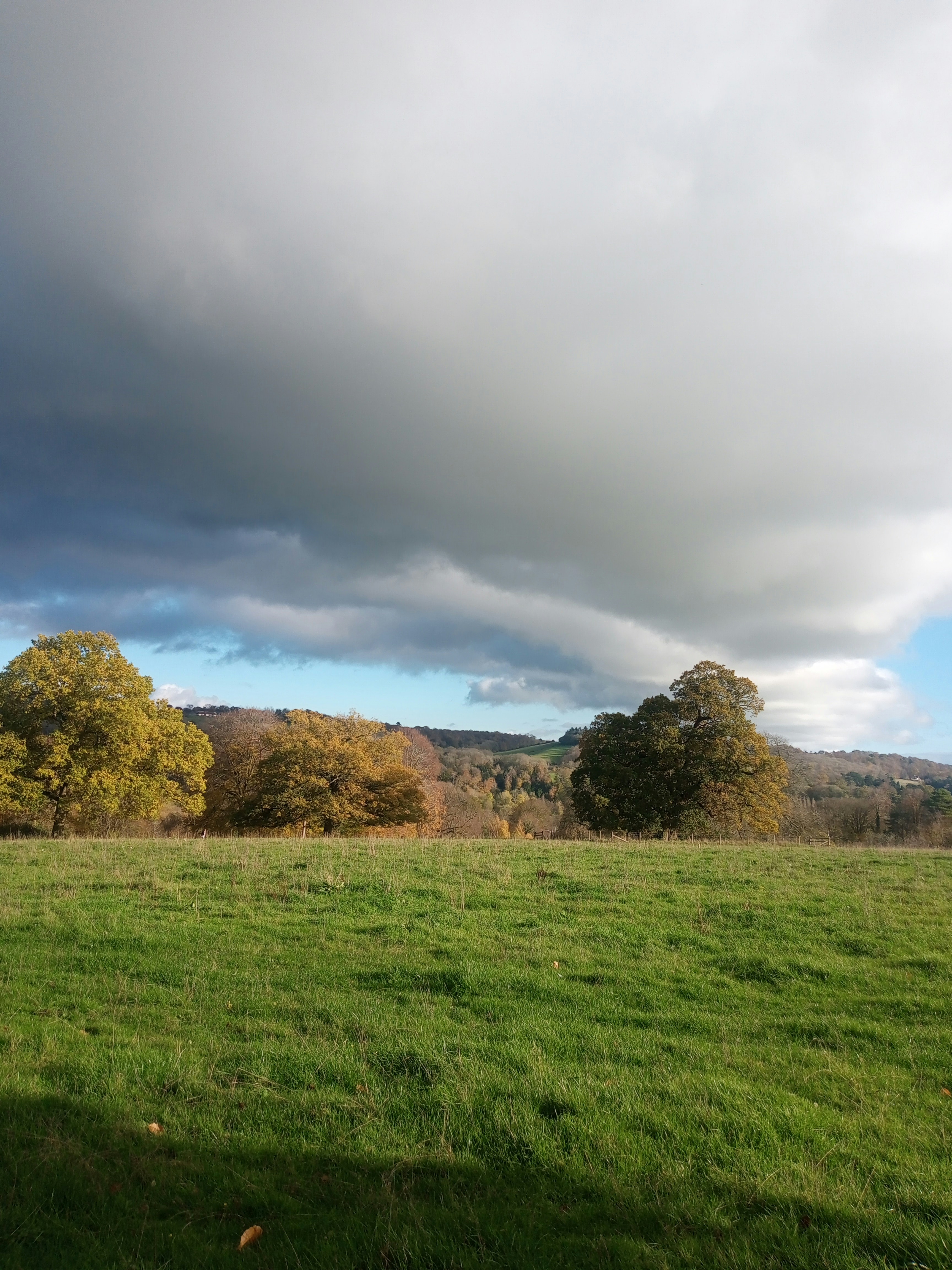 Photo by billy_brodzinski