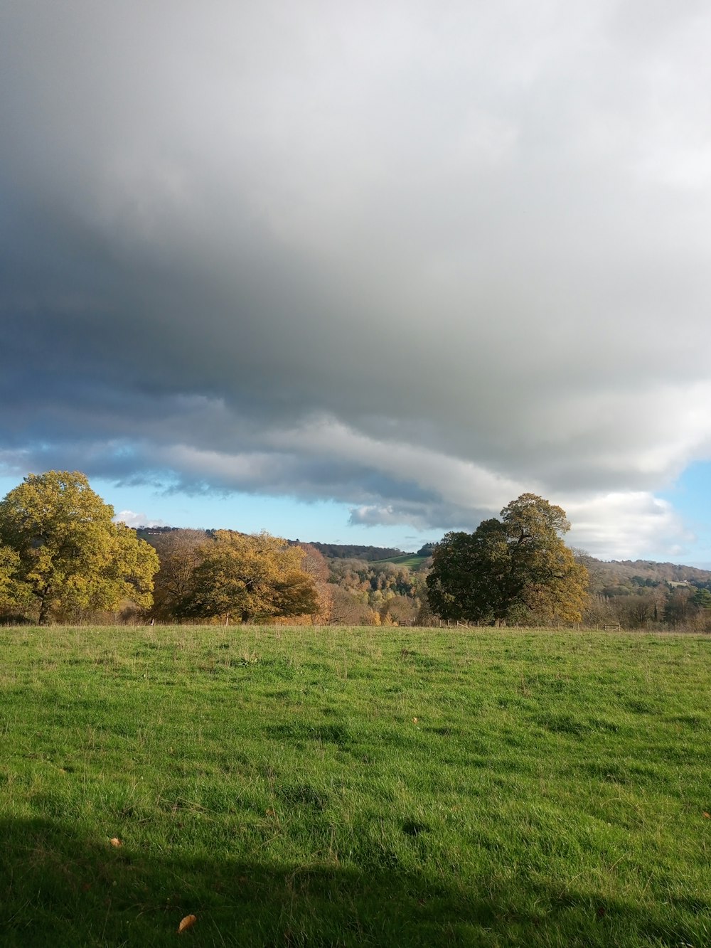 a grassy field with trees in the background