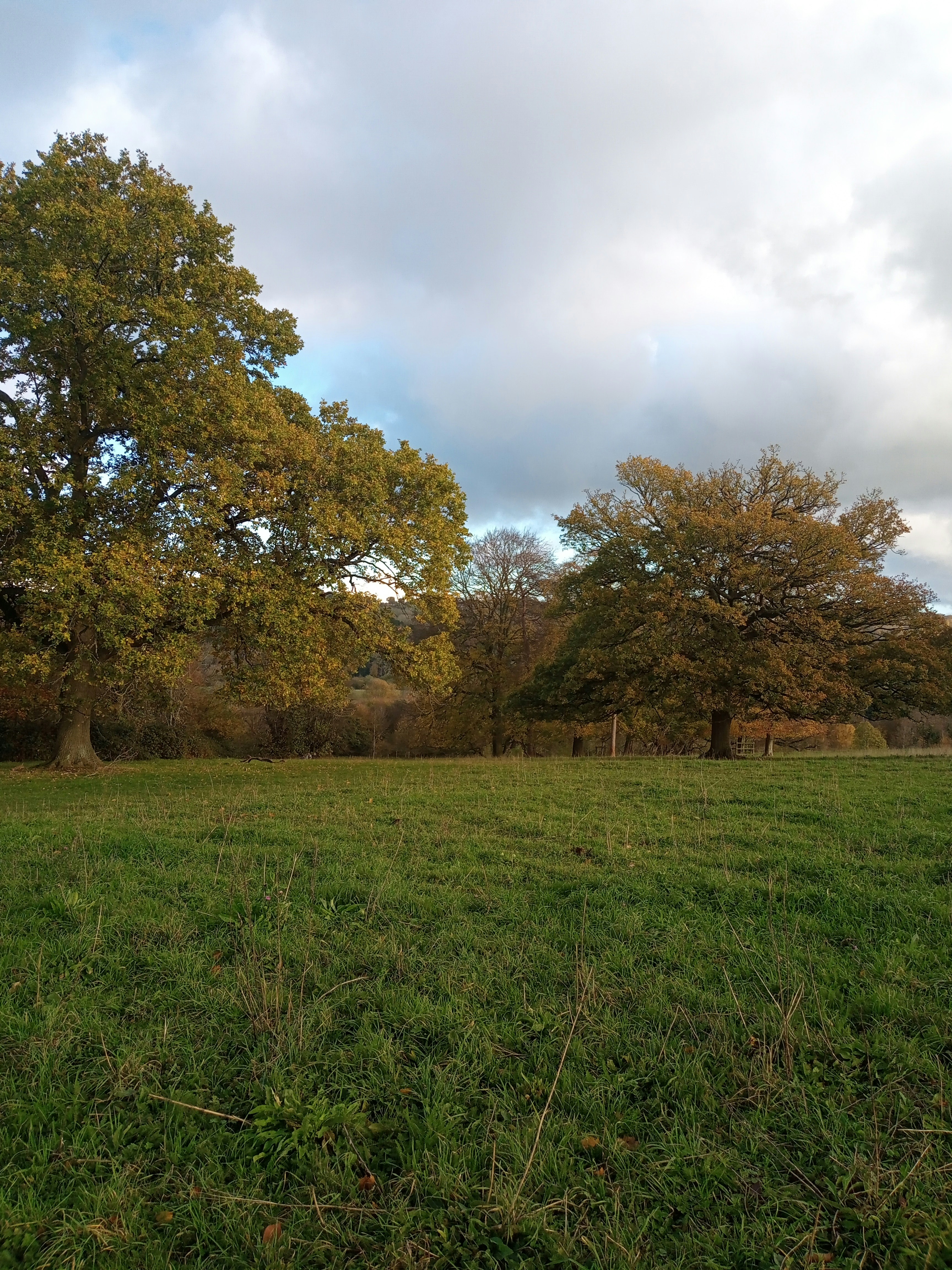 Photo by billy_brodzinski