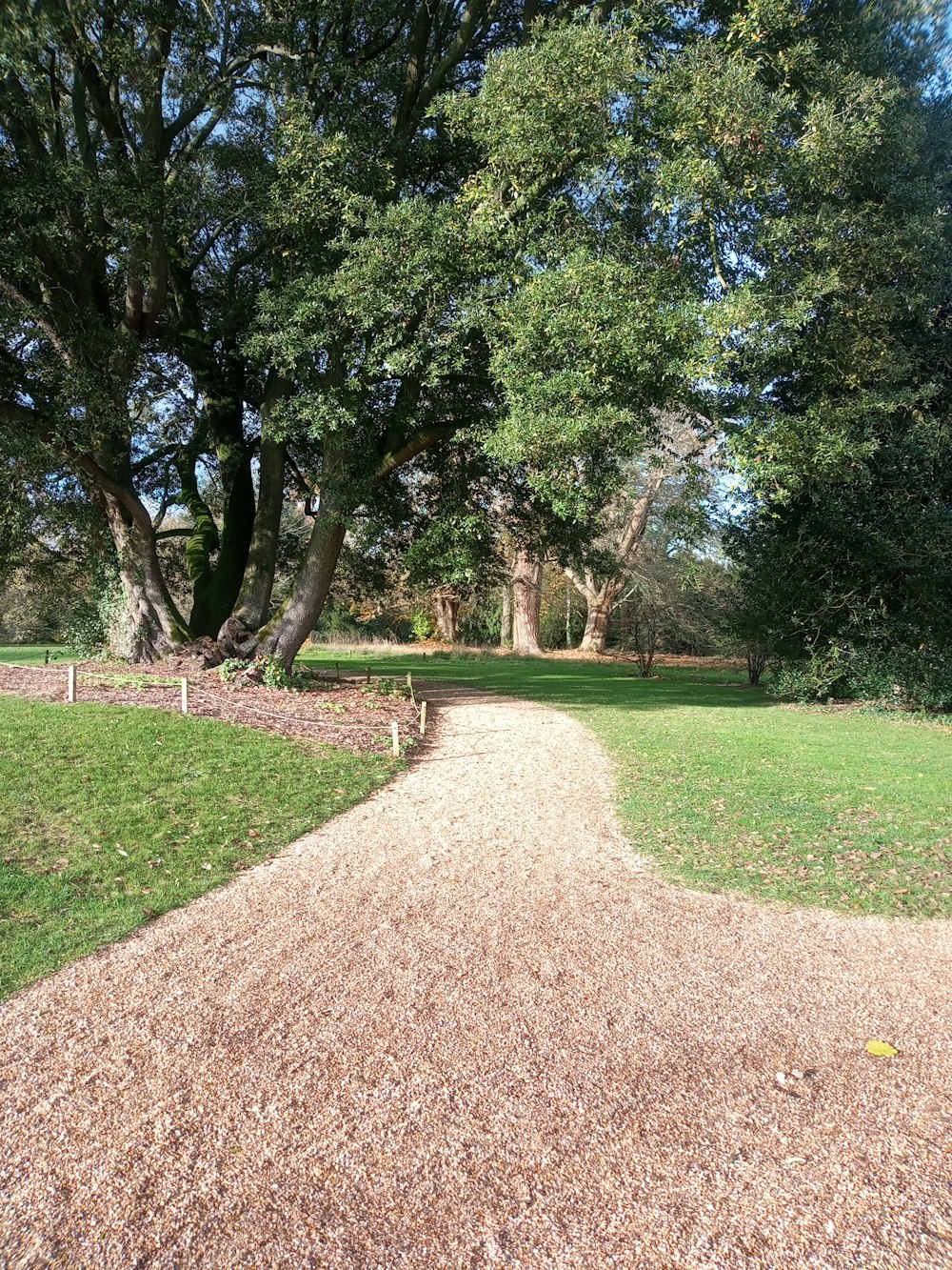 a path through a park