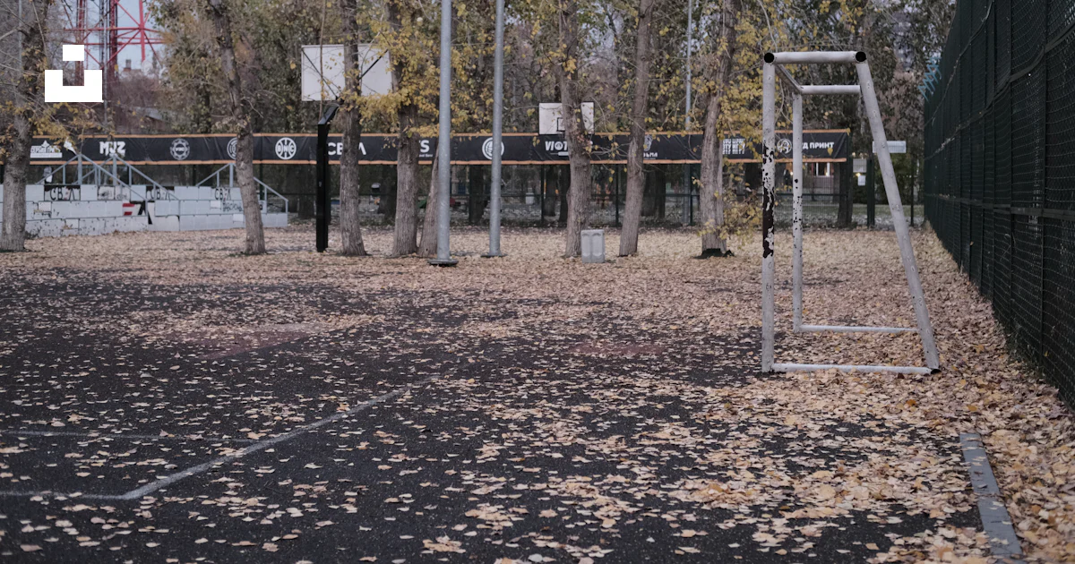 Playground Tree Fall A playground with trees photo – Free Fall aesthetic Image on Unsplash