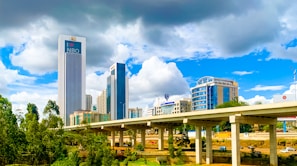 a bridge with a city in the background
