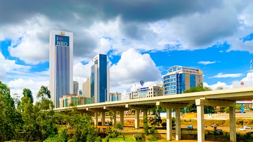 a bridge with a city in the background