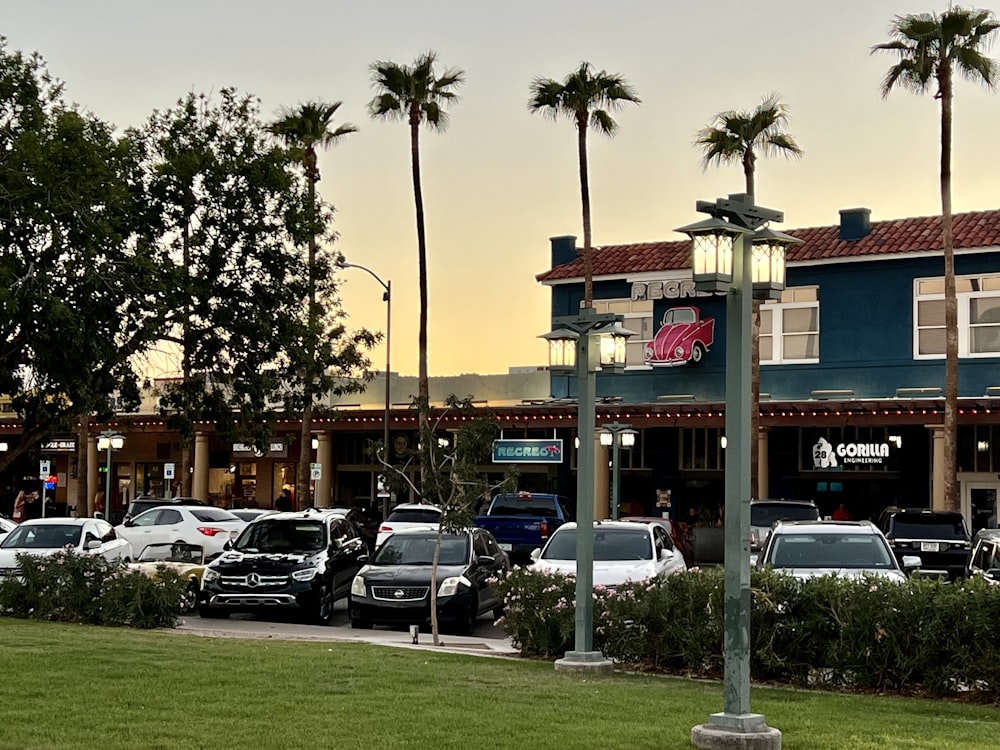 a parking lot with cars and palm trees