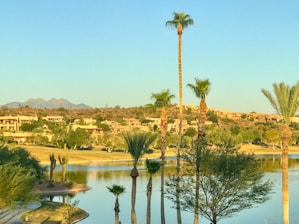 A serene view of Bombay Beach Resort showcasing the beautiful landscape.