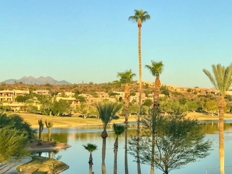 A serene landscape features a body of water surrounded by palm trees and lush greenery. In the background, there are desert hills with residential homes, and a mountain range provides a scenic backdrop under a clear blue sky.