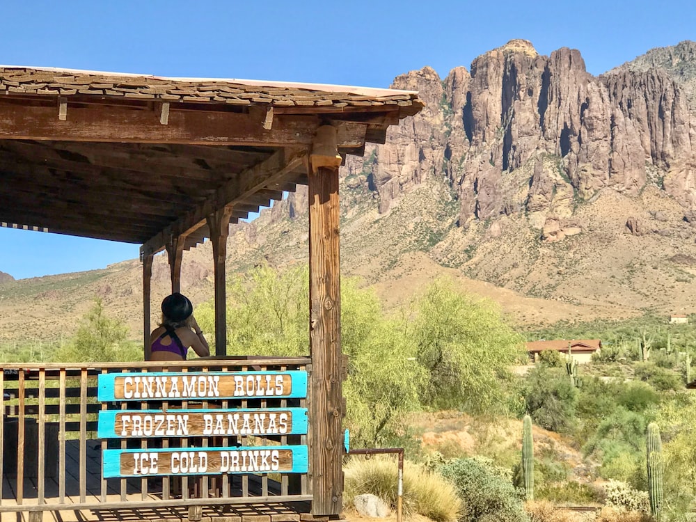 a person standing on a balcony looking out over a valley with a mountain in the background