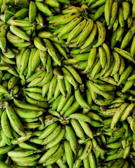 a bunch of bananas
