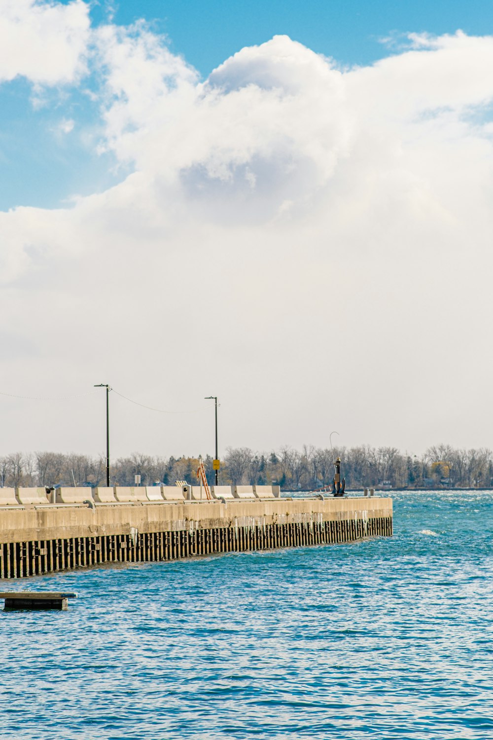 a body of water with a dock and a walkway with trees in the background