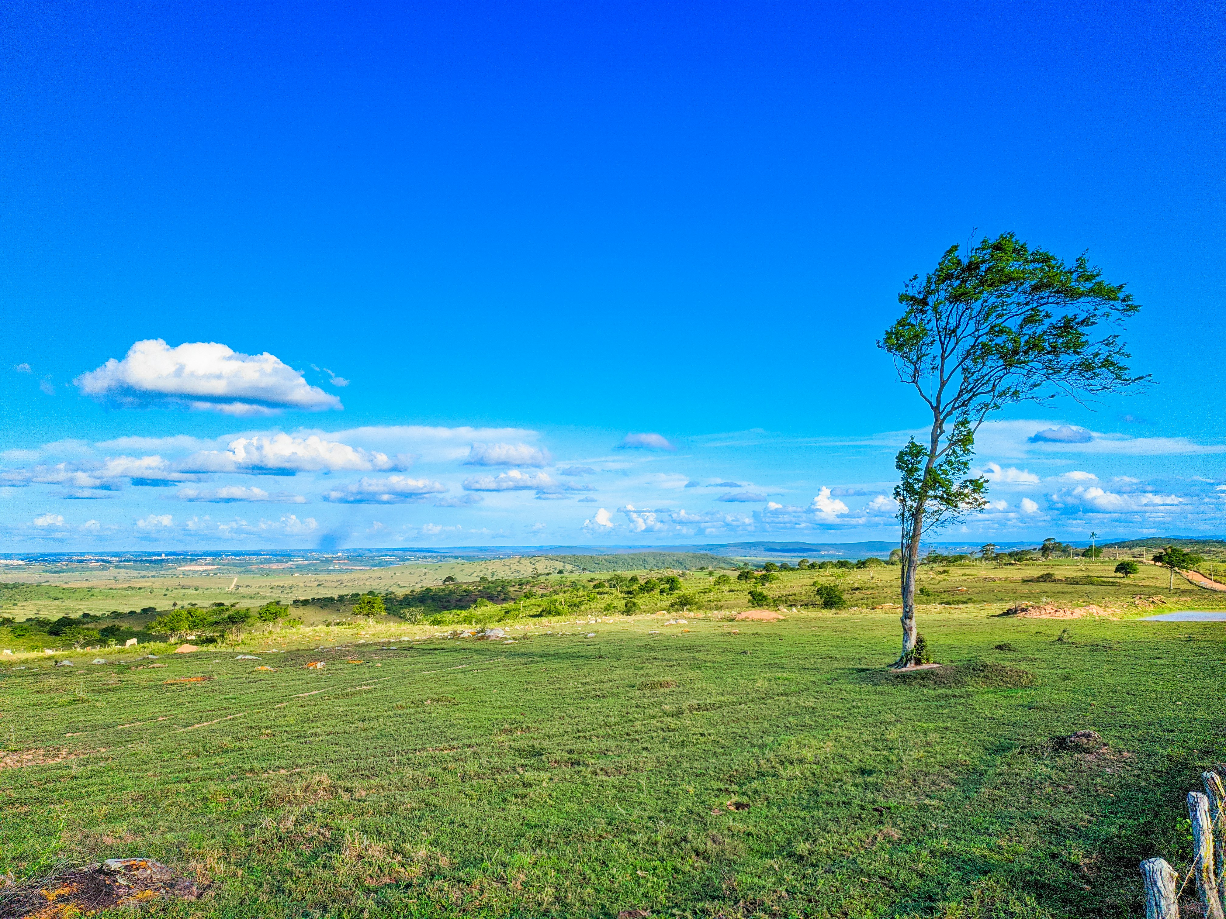 madura landscape, wallpaper, Perang Pamekasan: Sejarah, Latar Belakang, dan Peran Pesantren 3