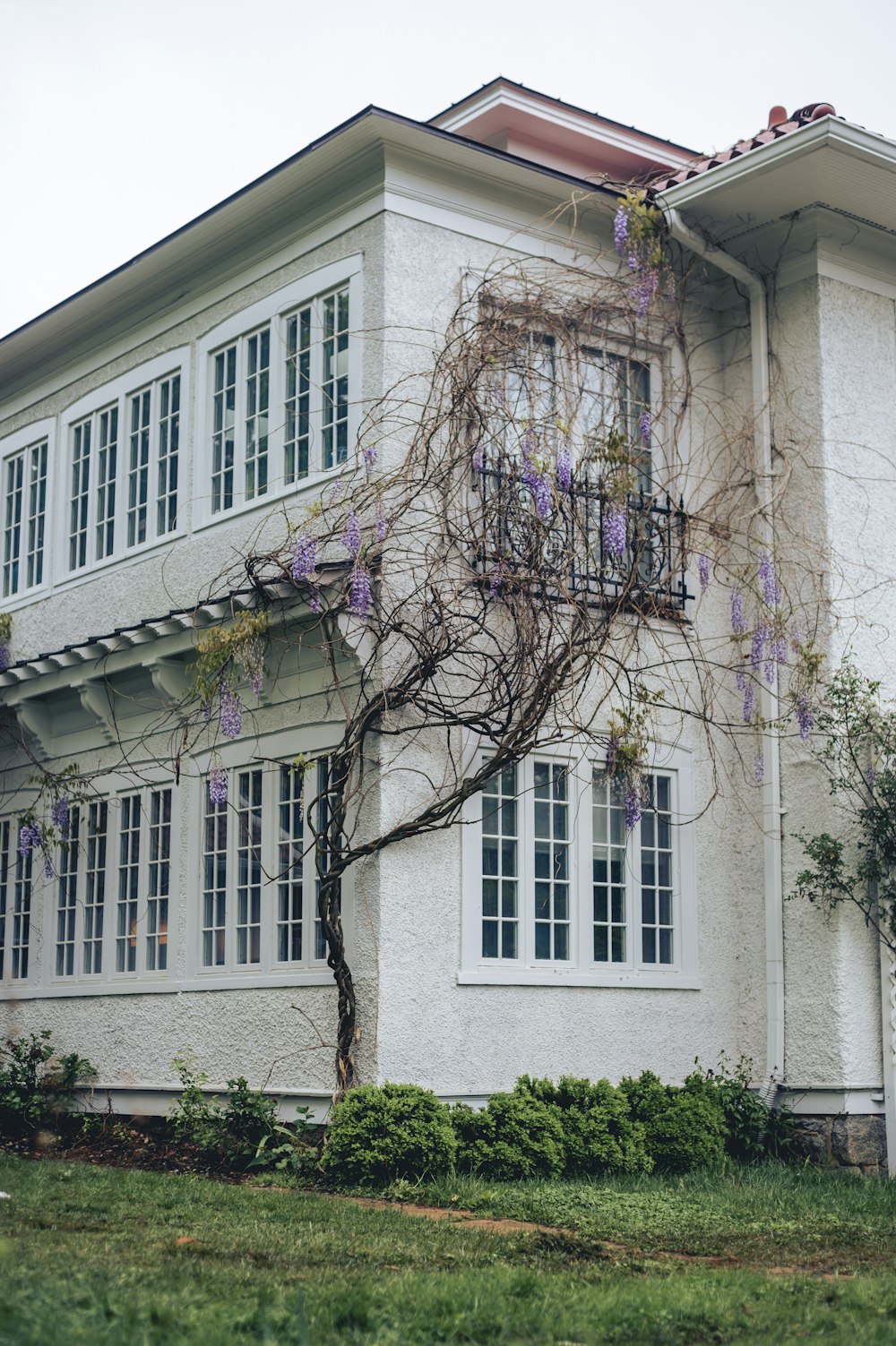 a tree in front of a building