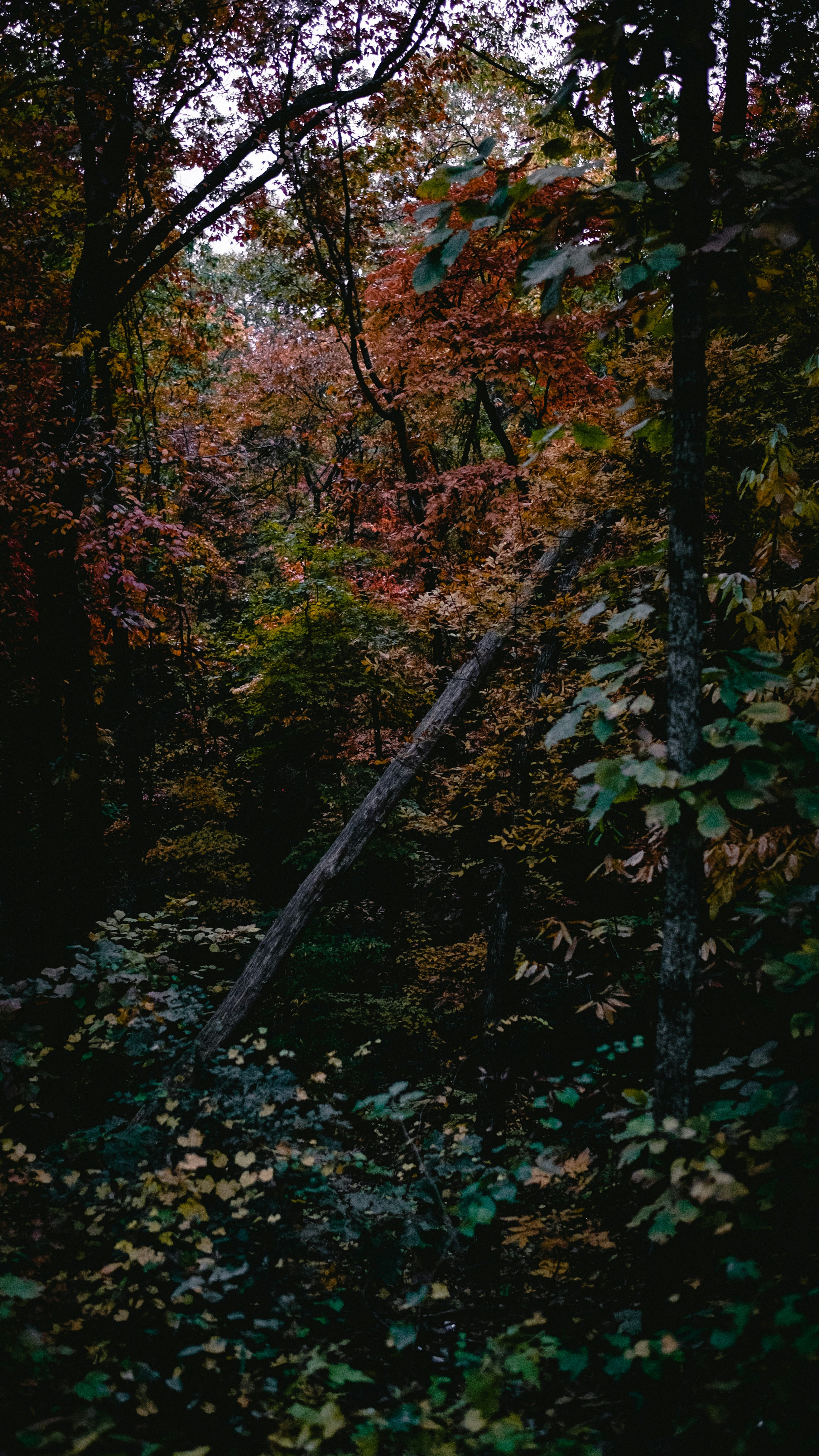 Photo by beangarbage