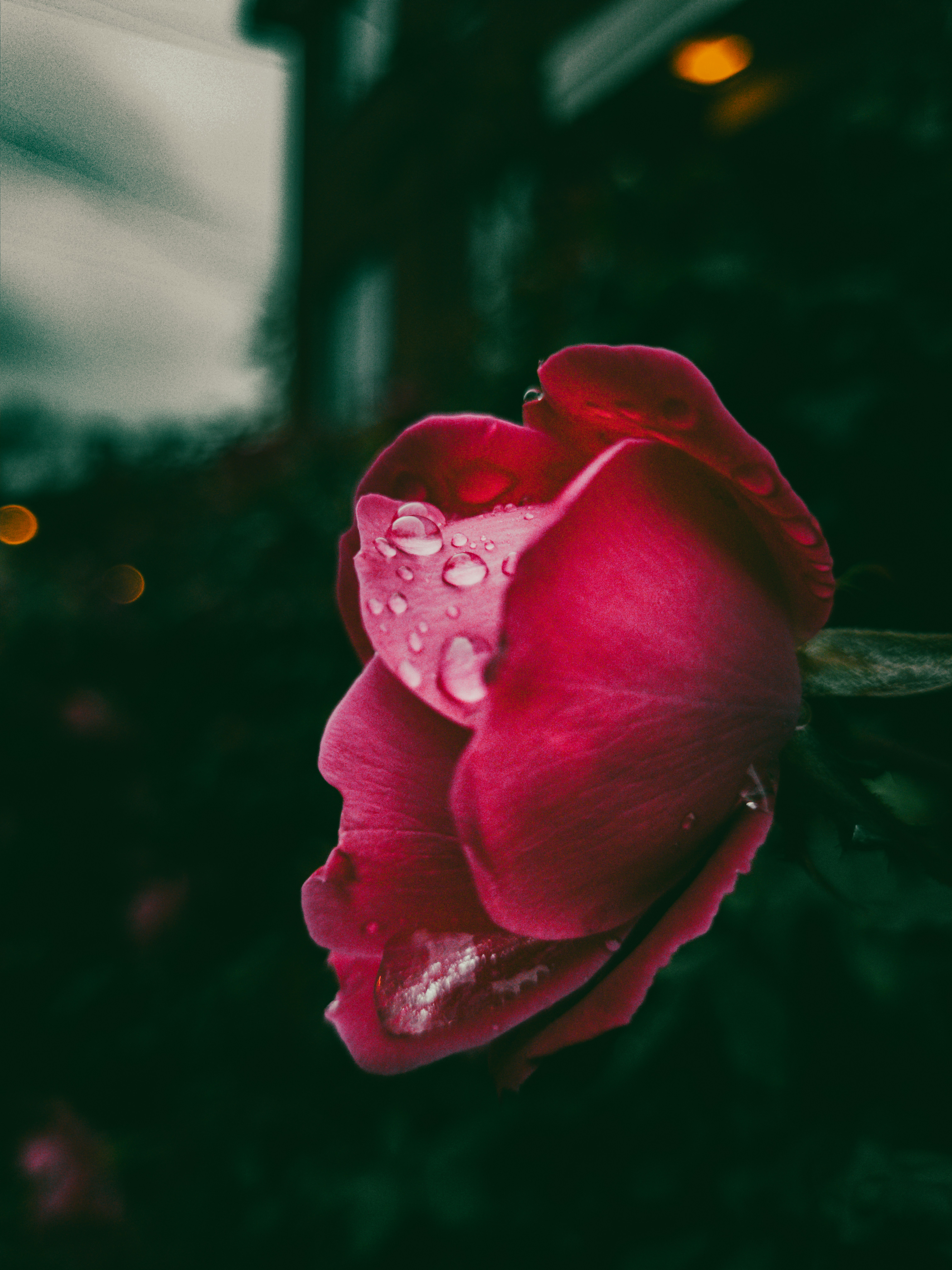 Photo by jeffrey_jpeg