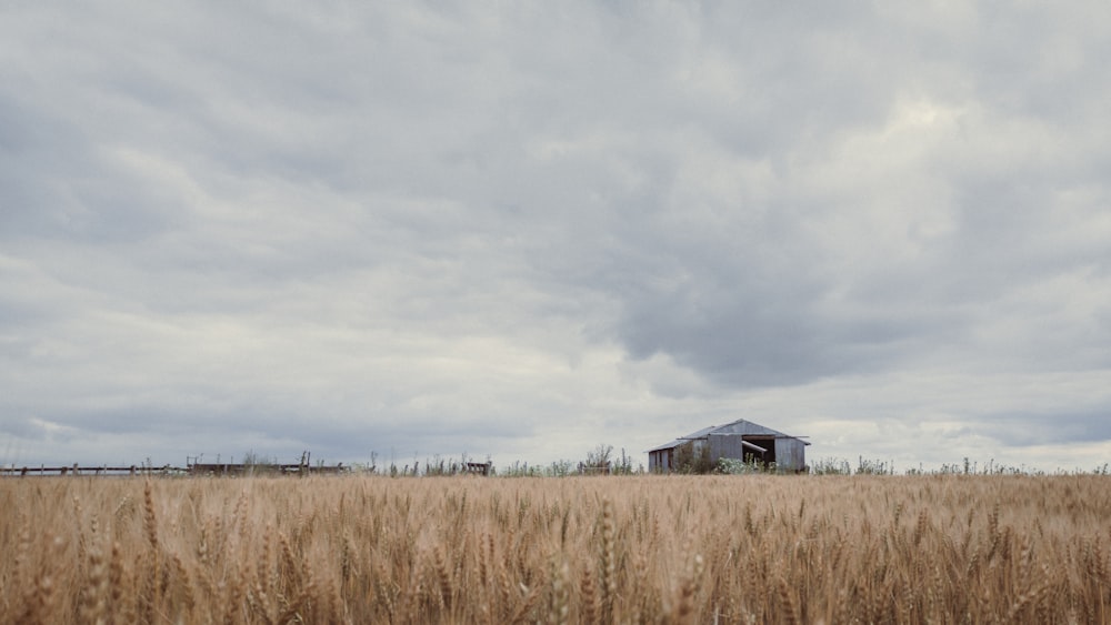 a house in a field