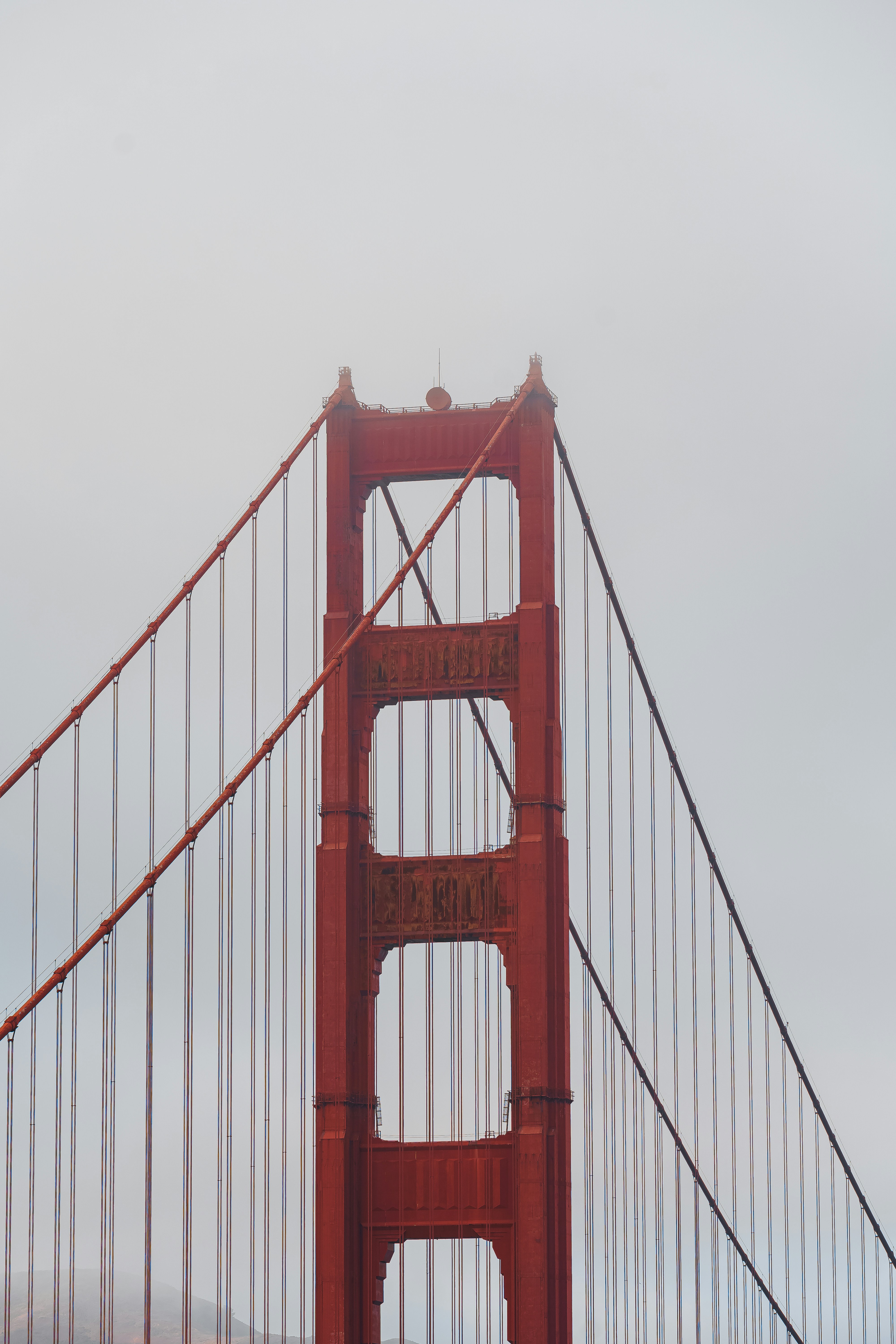 Photo by limamauro23