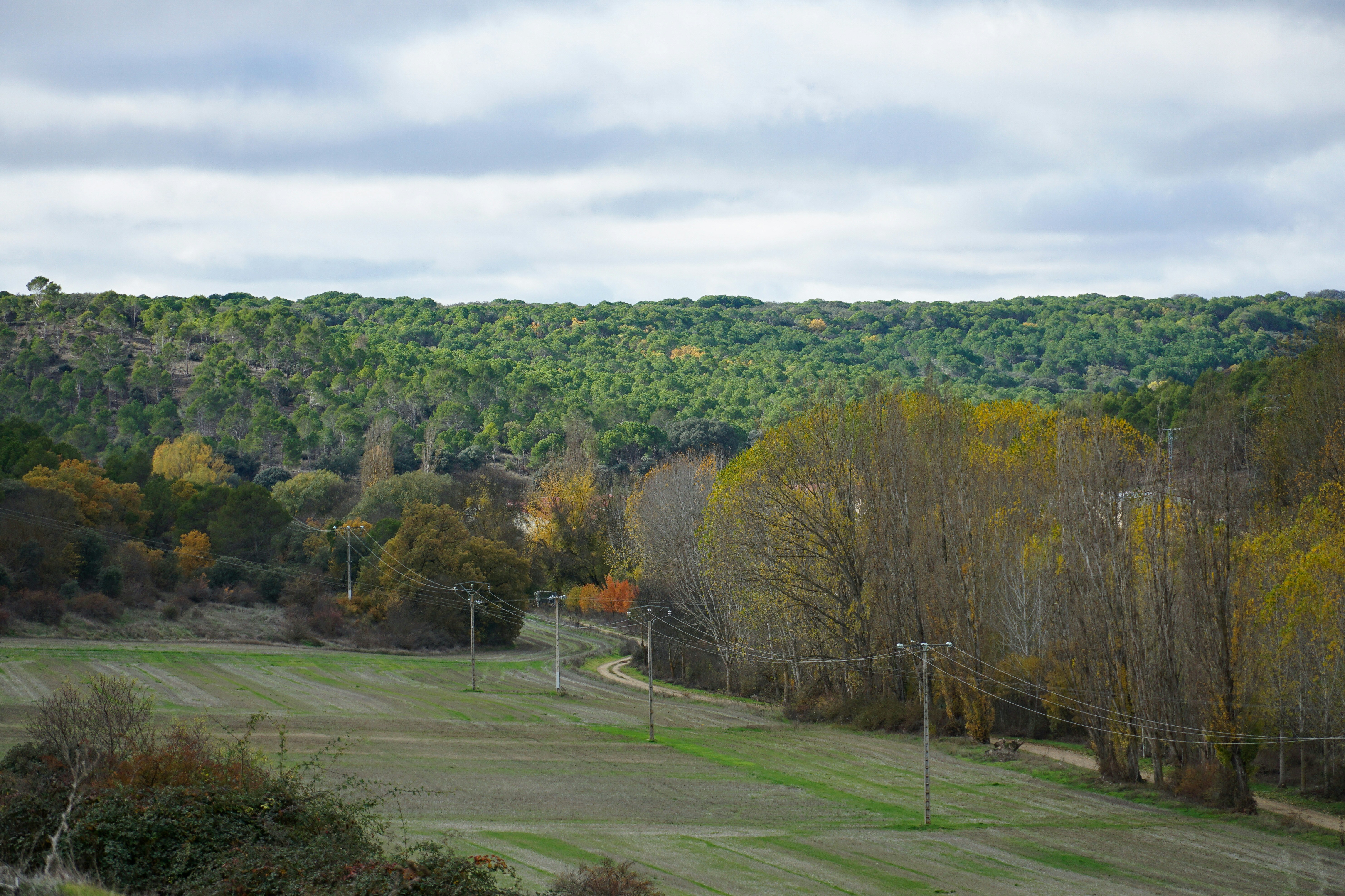 Photo by mariocarton