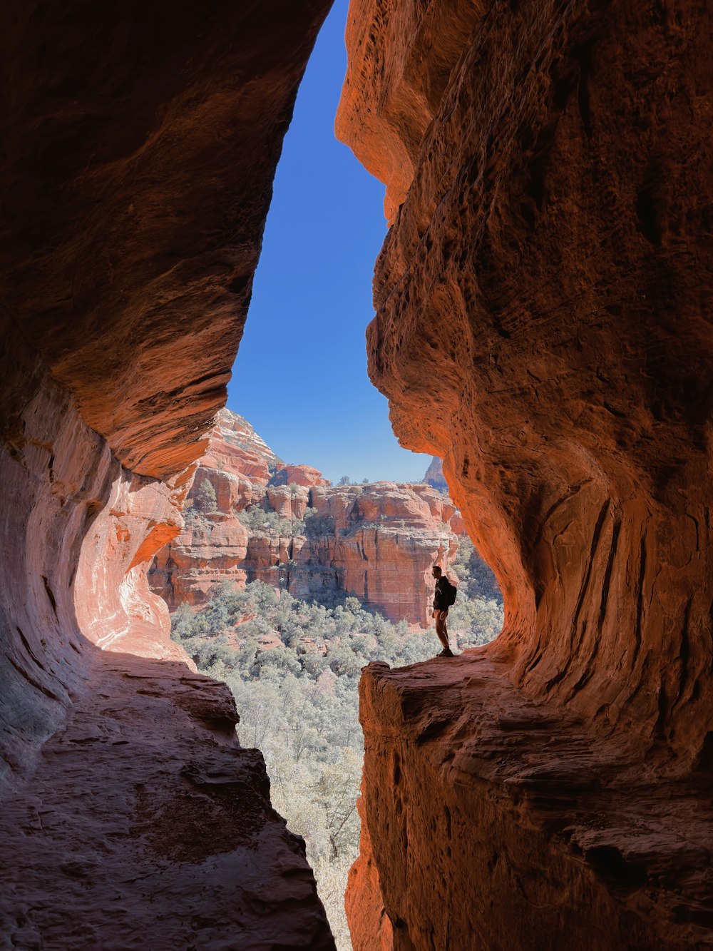 a person standing in a canyon