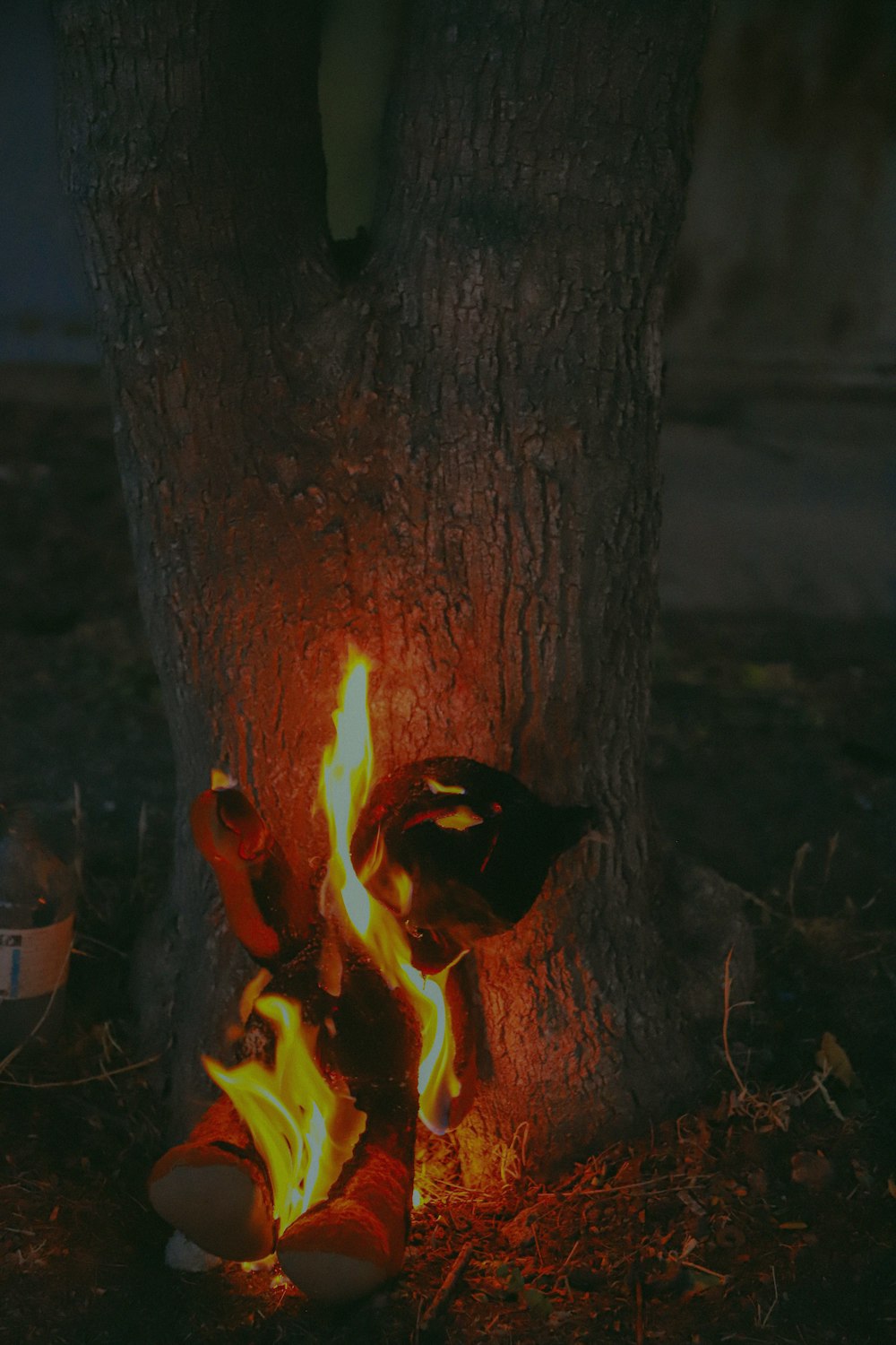 a tree with a painted face