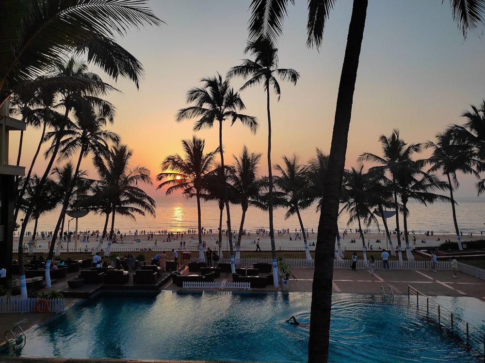 a pool with palm trees and a sunset