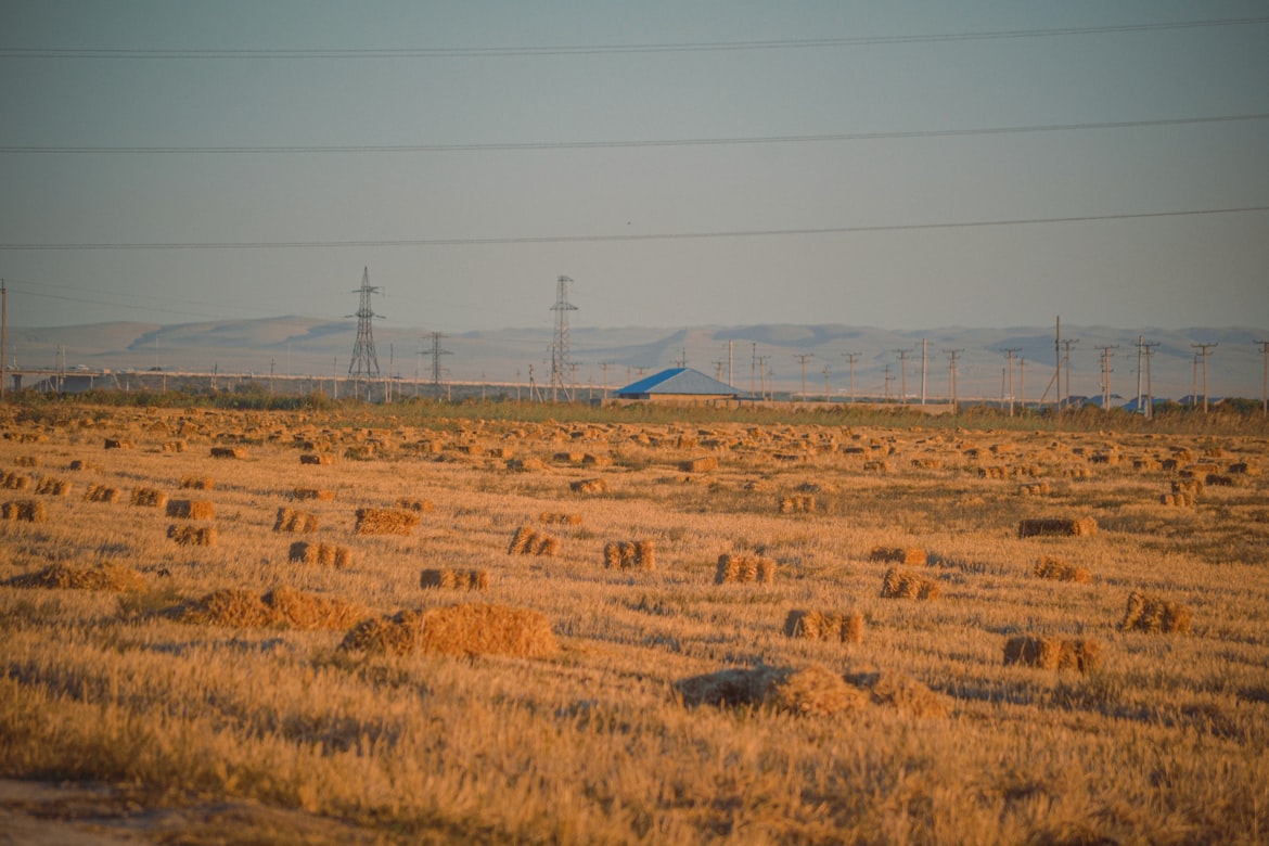 Uzbekistan