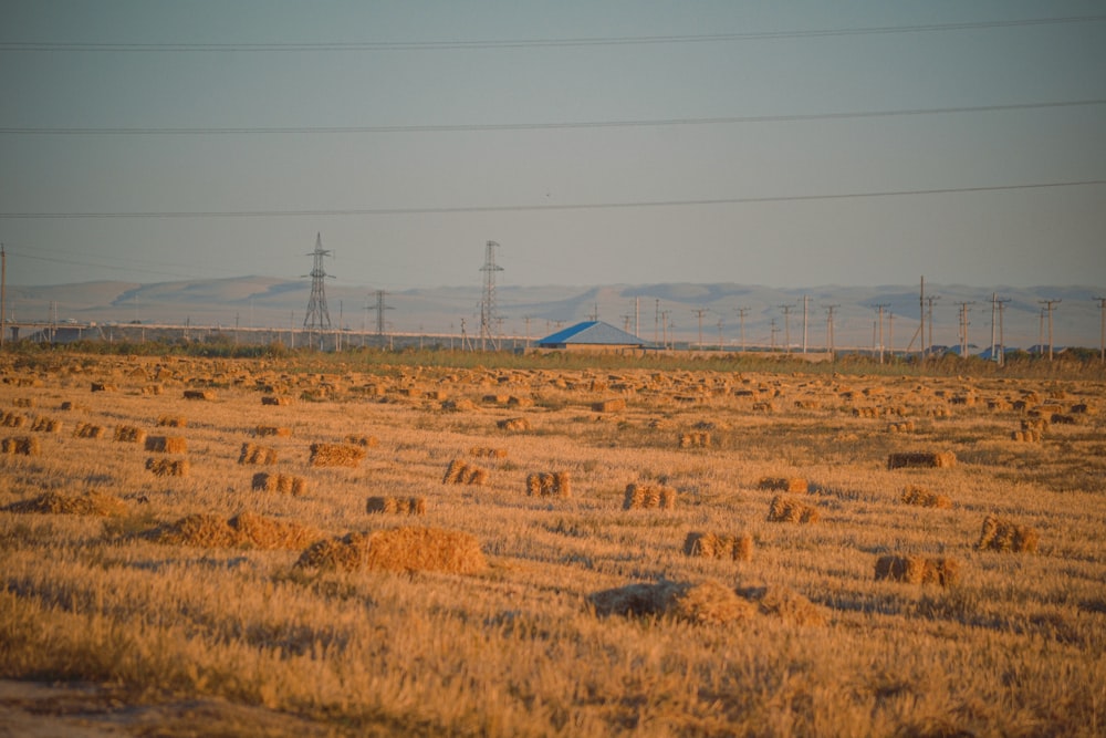 a field with power lines in the distance