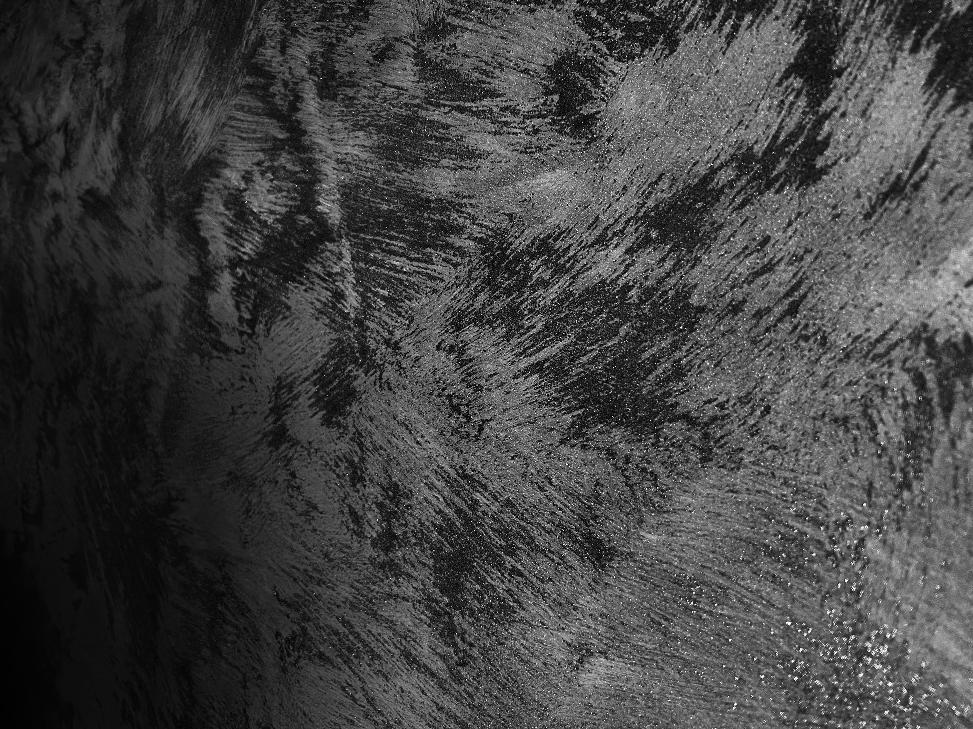 Photo by swankyfella